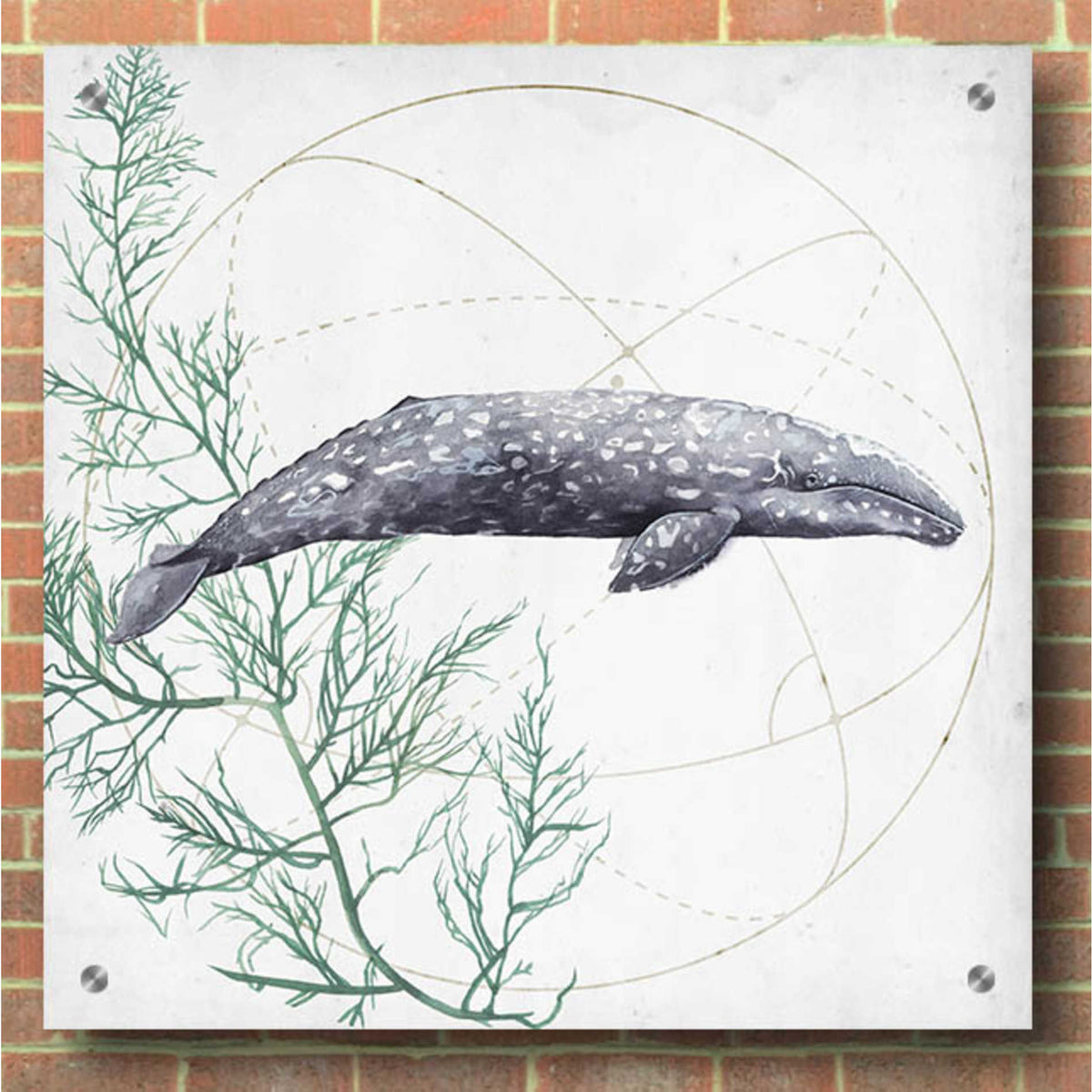 Epic Art 'Love of the Sea III' by Grace Popp, Acrylic Wall Glass,36x36