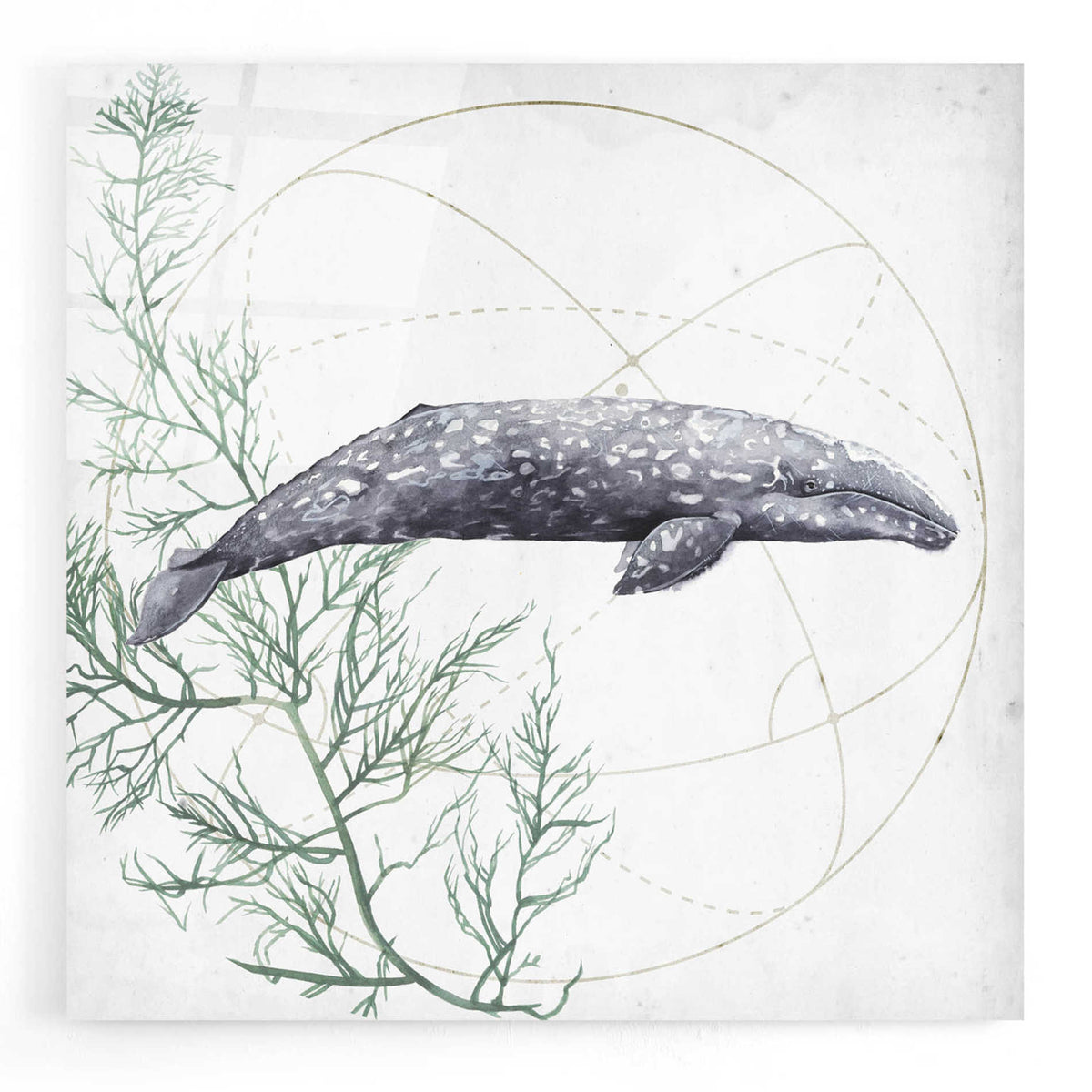 Epic Art 'Love of the Sea III' by Grace Popp, Acrylic Wall Glass