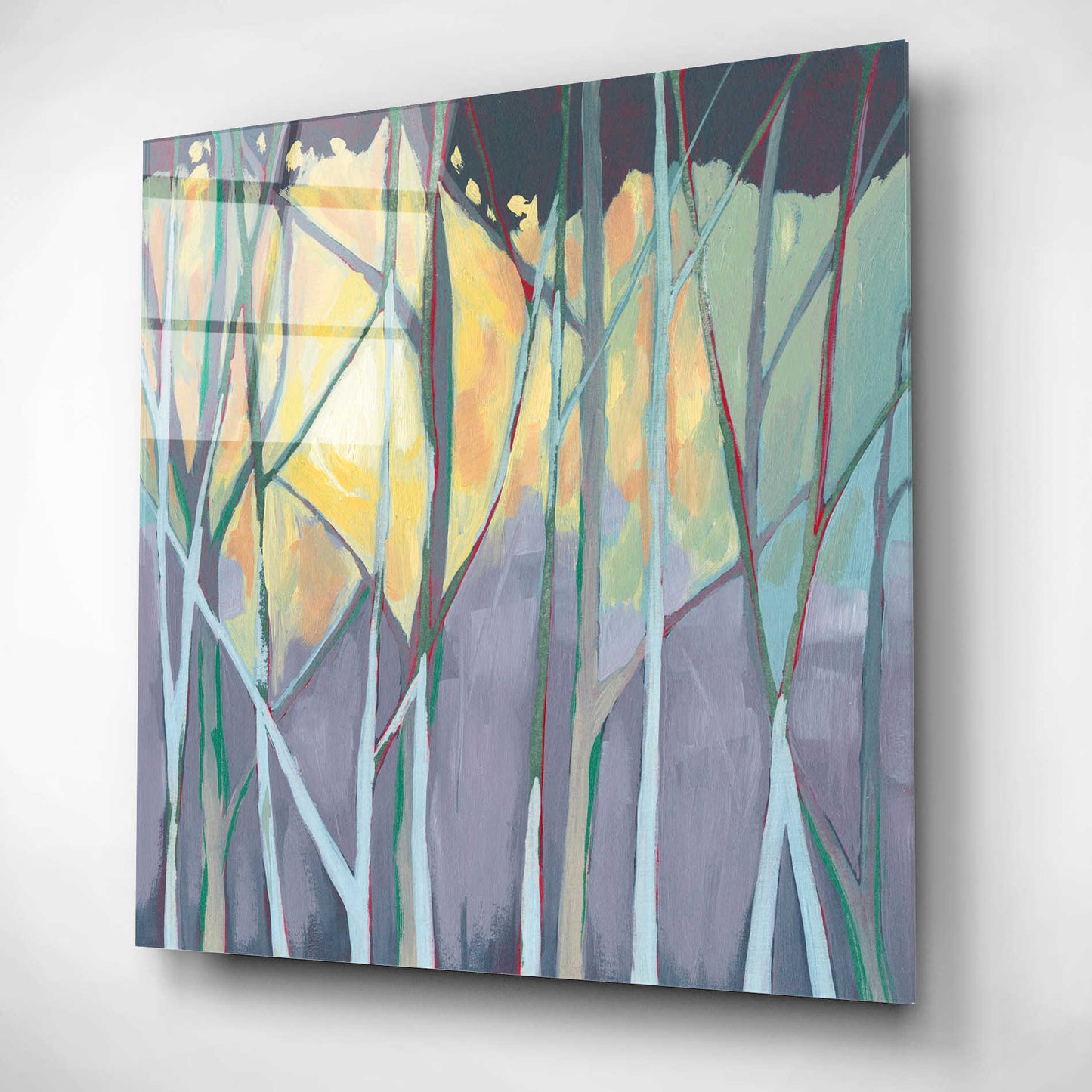 Epic Art 'Tangled Twilight I' by Grace Popp, Acrylic Wall Glass,12x12