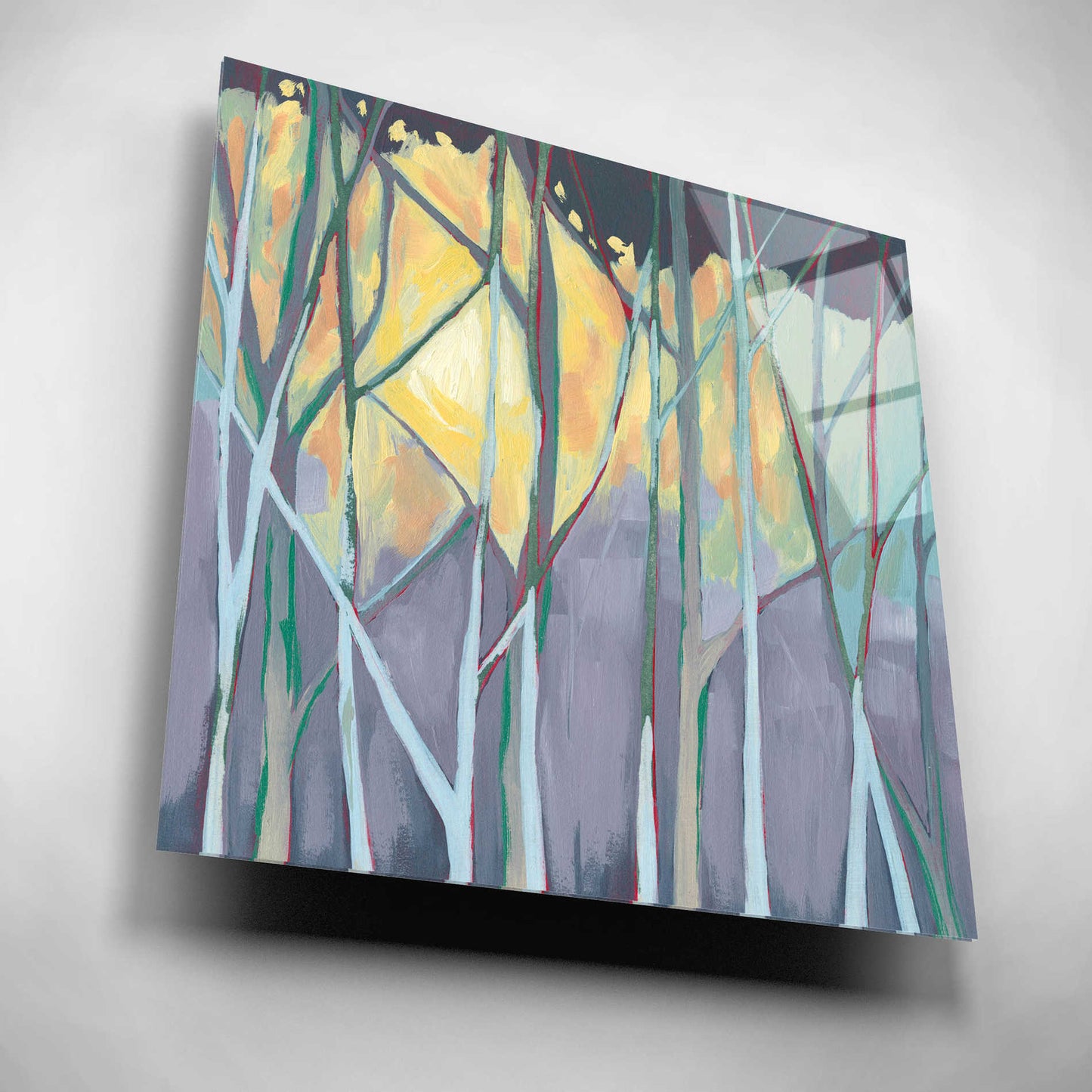 Epic Art 'Tangled Twilight I' by Grace Popp, Acrylic Wall Glass,12x12