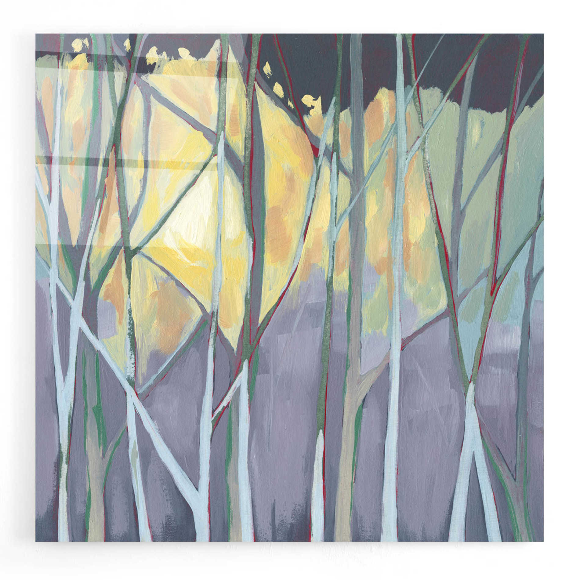 Epic Art 'Tangled Twilight I' by Grace Popp, Acrylic Wall Glass,12x12