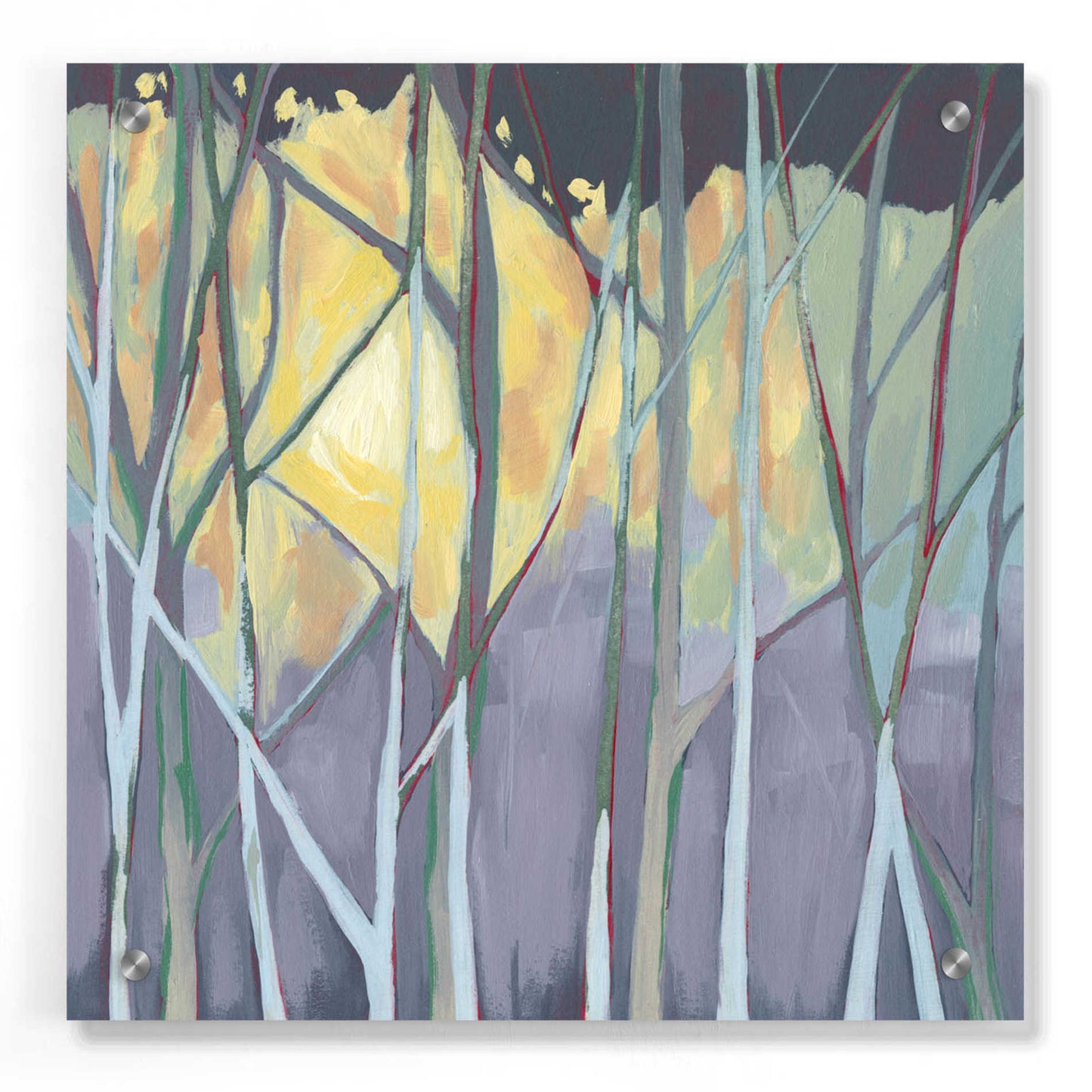 Epic Art 'Tangled Twilight I' by Grace Popp, Acrylic Wall Glass,36x36