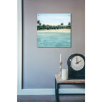 Epic Art 'Paradis I' by Grace Popp, Acrylic Wall Glass,24x24