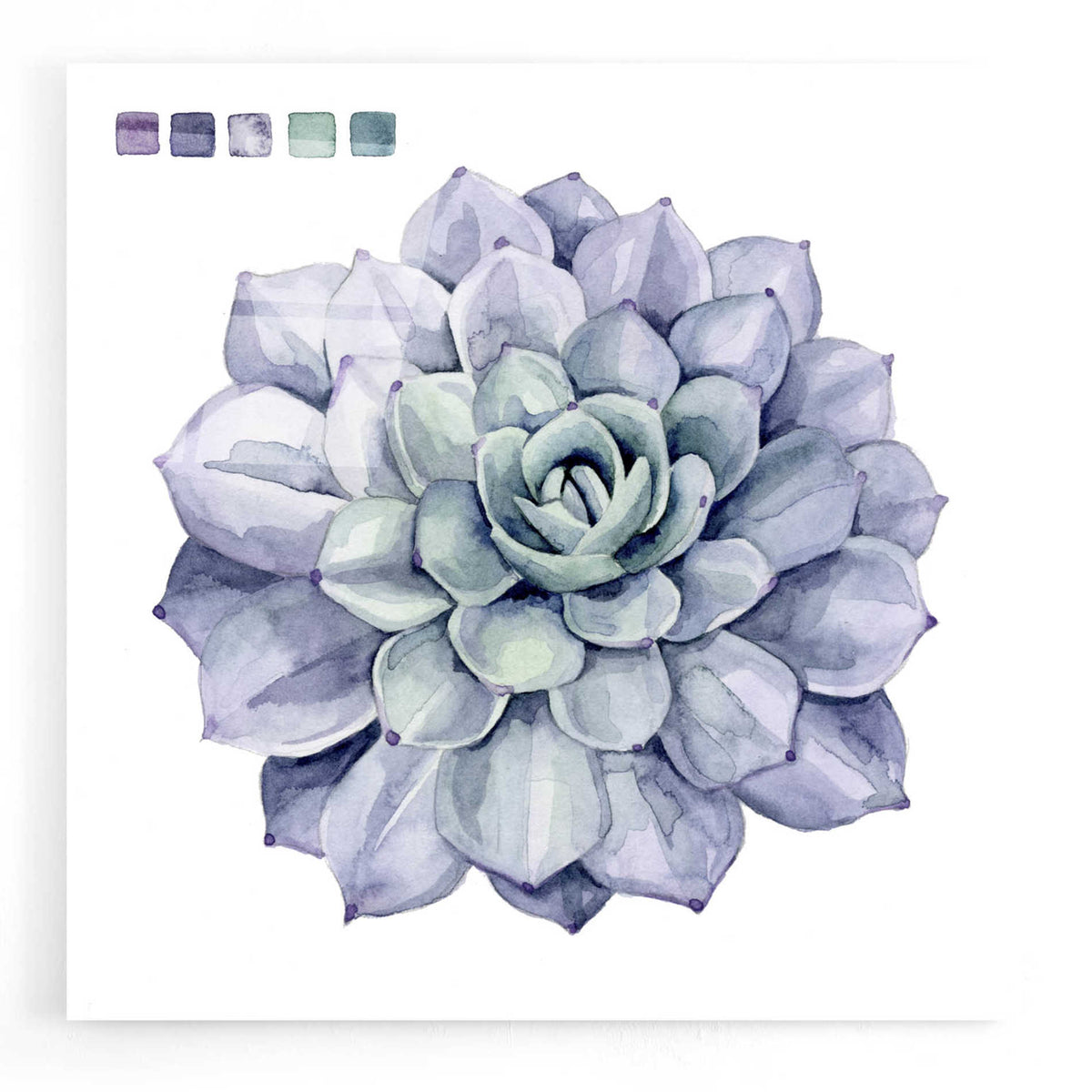 Epic Art 'Succulent Swatches III' by Grace Popp, Acrylic Wall Glass