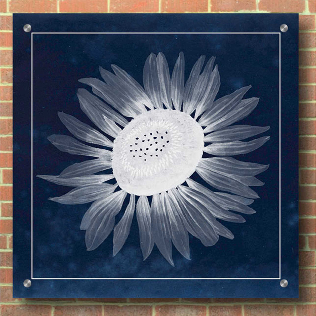 Epic Art 'Moon Flower II' by Grace Popp, Acrylic Wall Glass,36x36