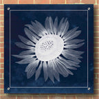 Epic Art 'Moon Flower II' by Grace Popp, Acrylic Wall Glass,36x36