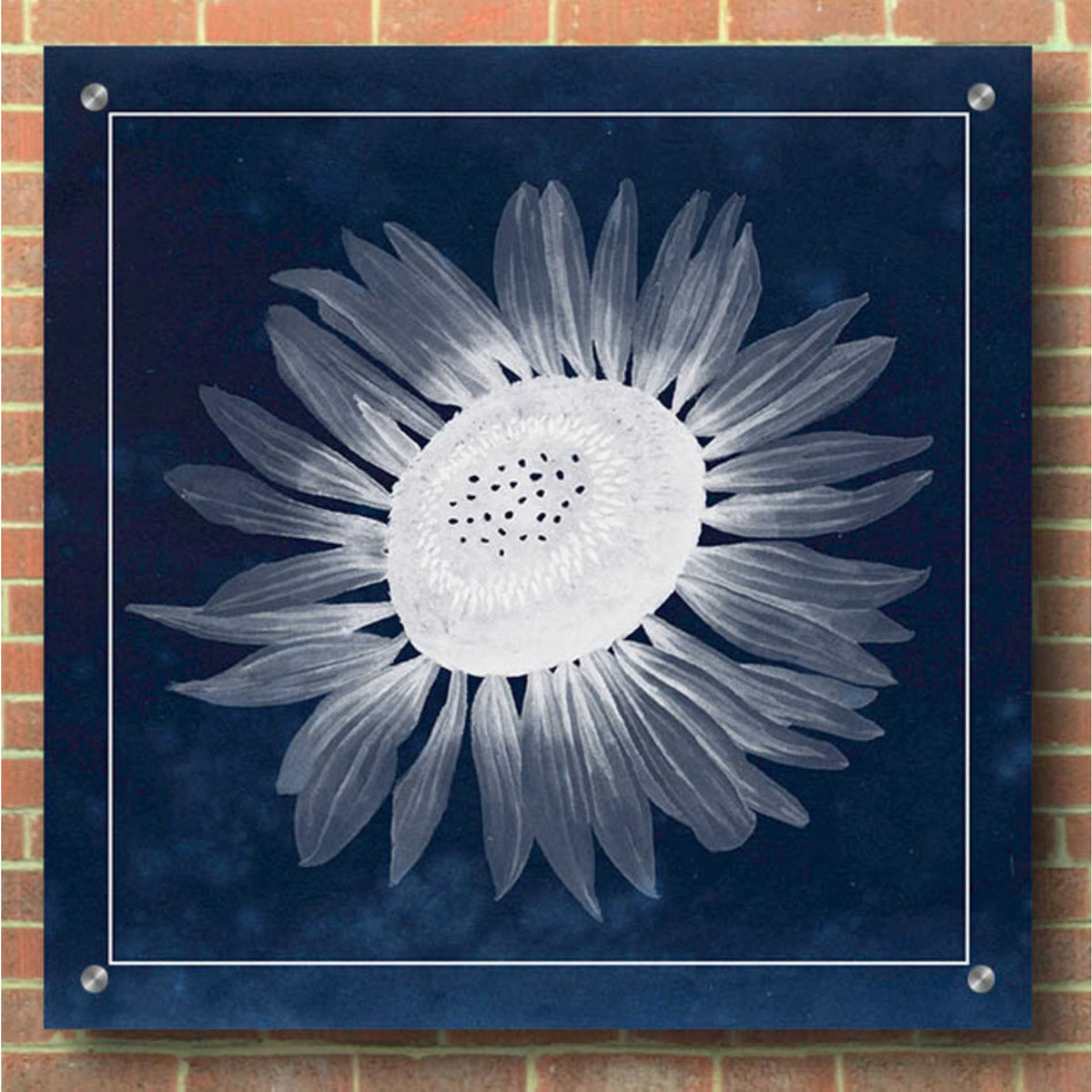 Epic Art 'Moon Flower II' by Grace Popp, Acrylic Wall Glass,36x36