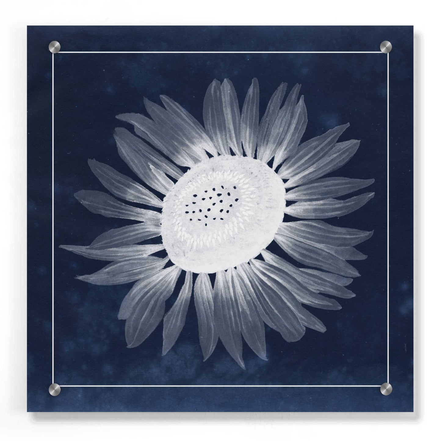 Epic Art 'Moon Flower II' by Grace Popp, Acrylic Wall Glass,36x36