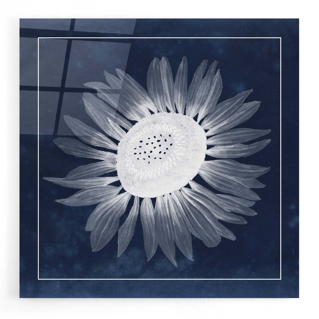 Epic Art 'Moon Flower II' by Grace Popp, Acrylic Wall Glass
