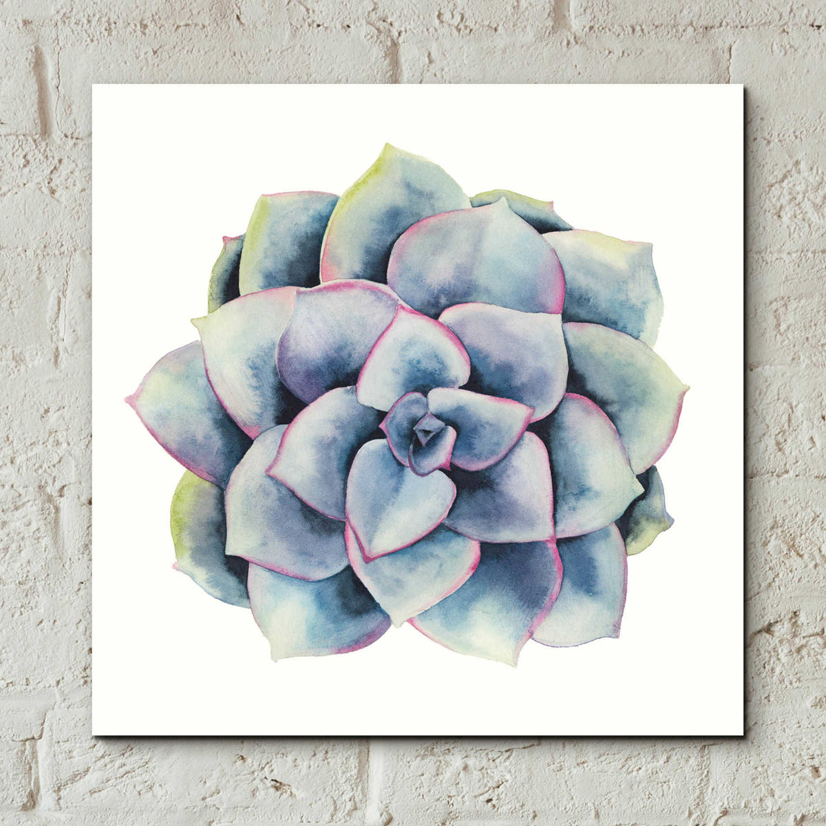 Epic Art 'Tropical Plant V' by Grace Popp, Acrylic Wall Glass,12x12