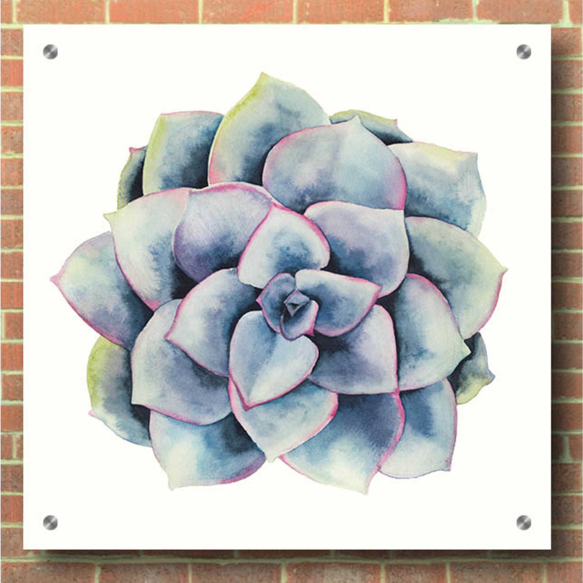 Epic Art 'Tropical Plant V' by Grace Popp, Acrylic Wall Glass,36x36