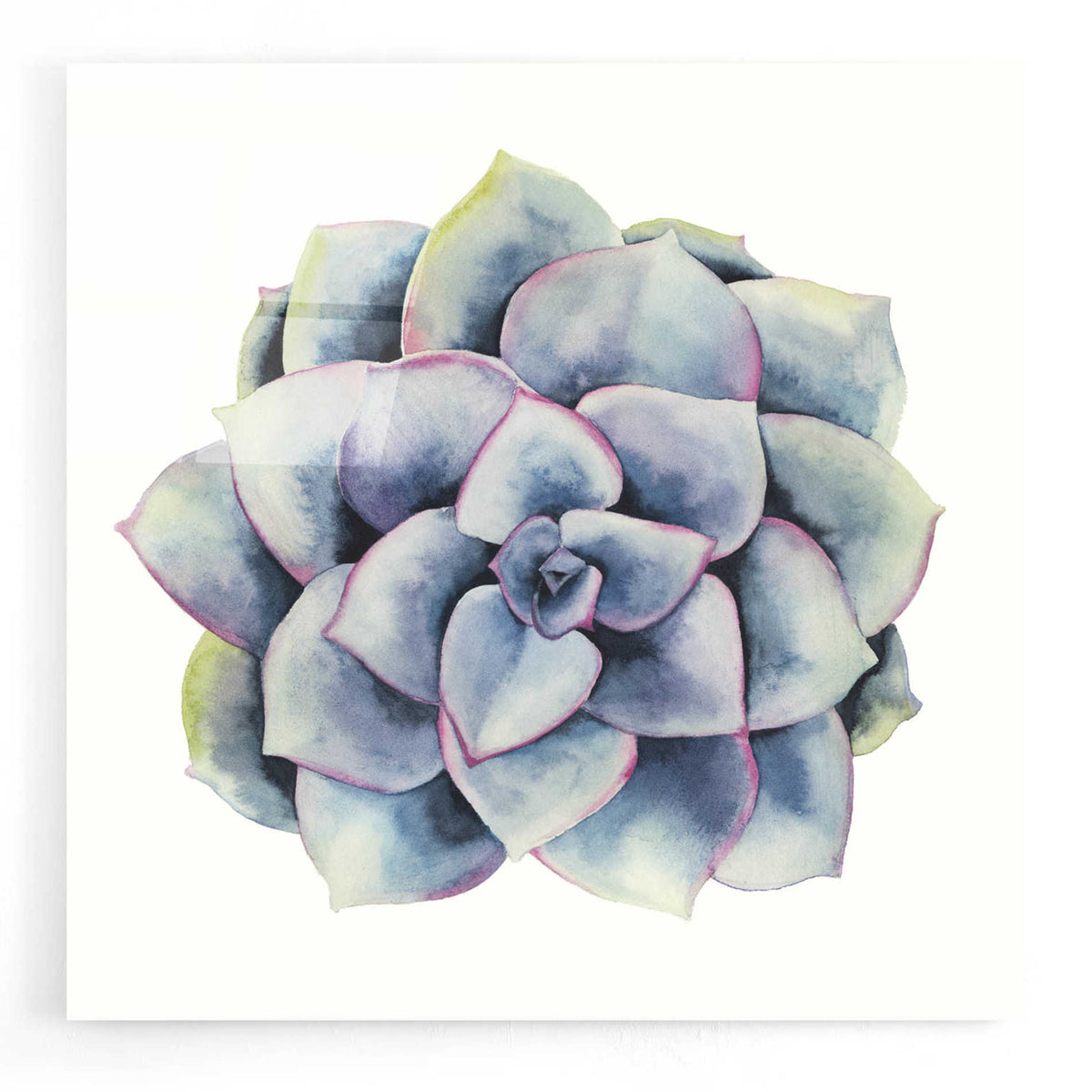 Epic Art 'Tropical Plant V' by Grace Popp, Acrylic Wall Glass