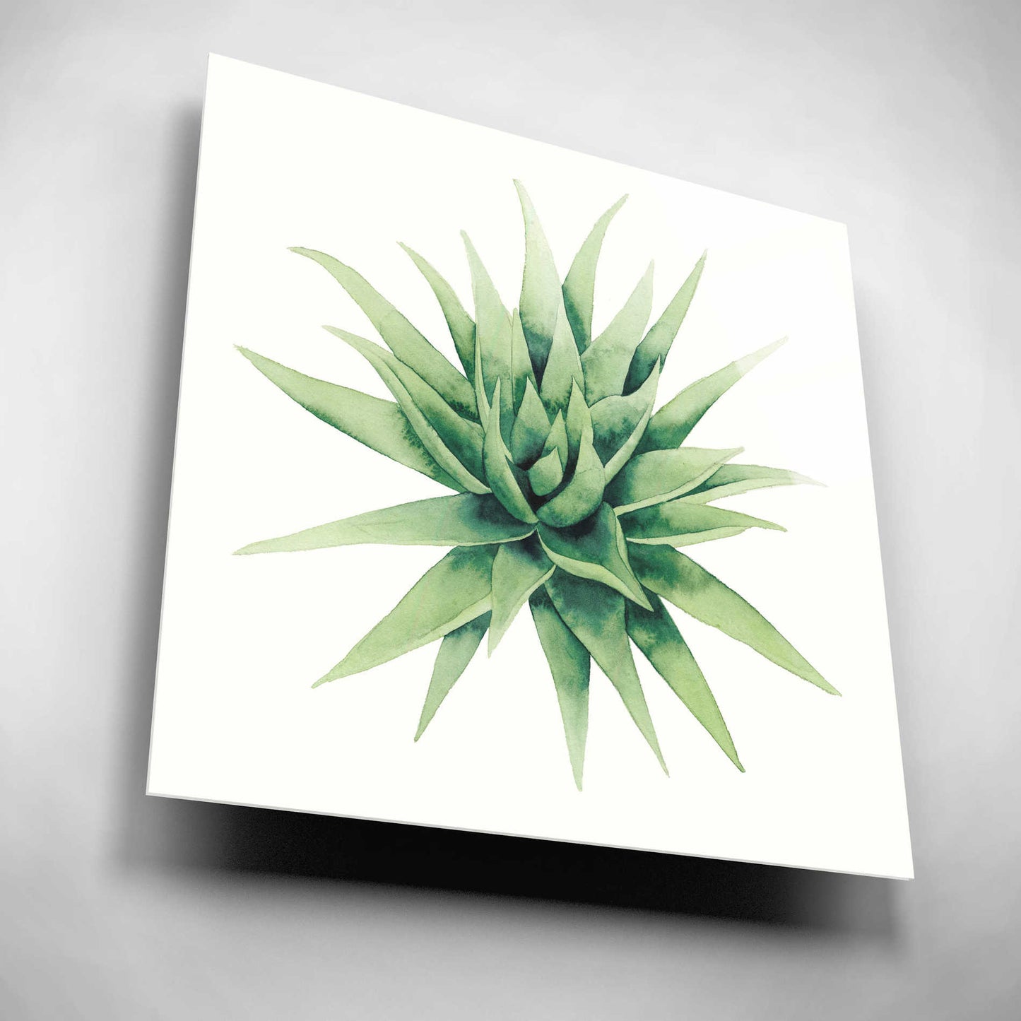Epic Art 'Tropical Plant III' by Grace Popp, Acrylic Wall Glass,12x12