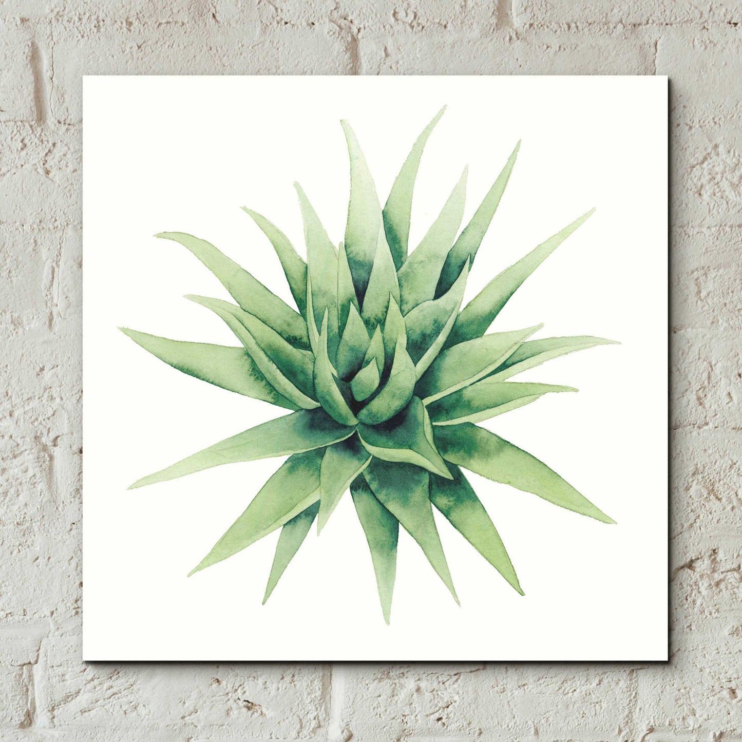Epic Art 'Tropical Plant III' by Grace Popp, Acrylic Wall Glass,12x12