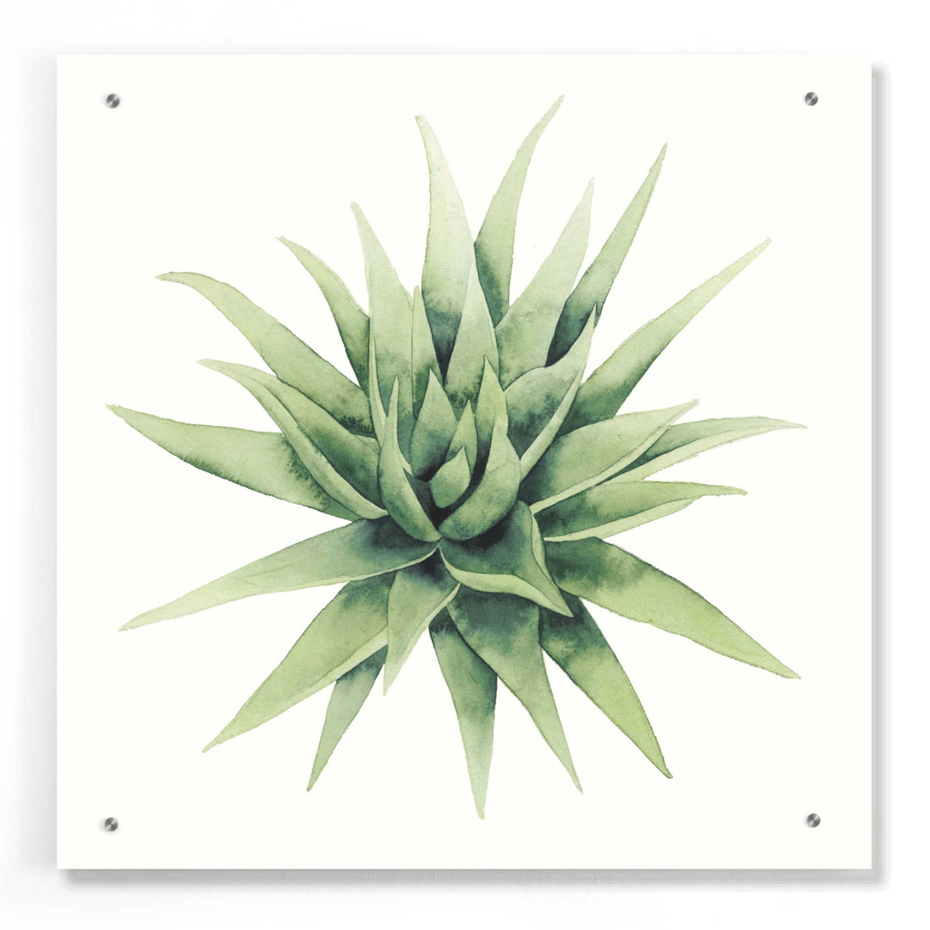 Epic Art 'Tropical Plant III' by Grace Popp, Acrylic Wall Glass,24x24