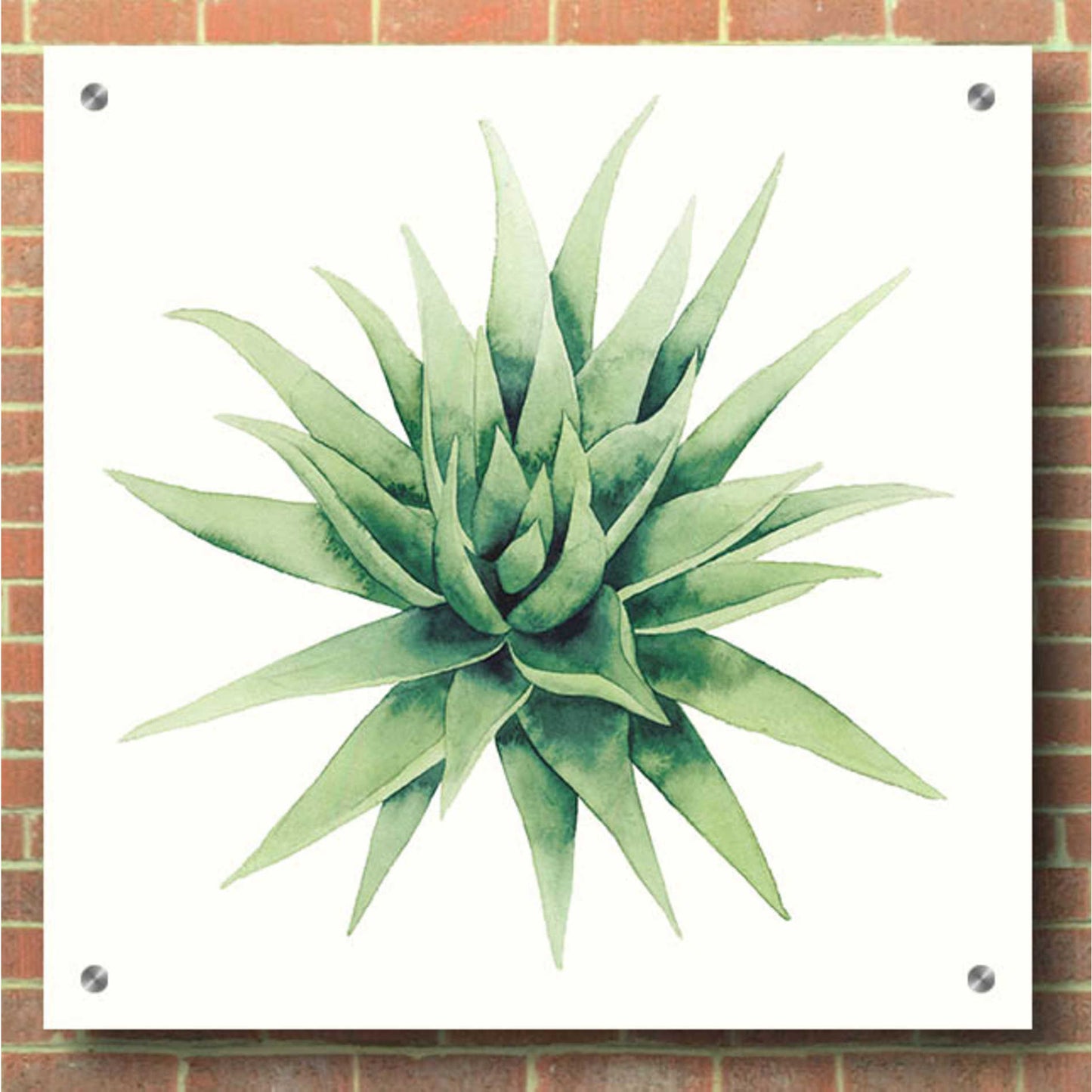 Epic Art 'Tropical Plant III' by Grace Popp, Acrylic Wall Glass,36x36