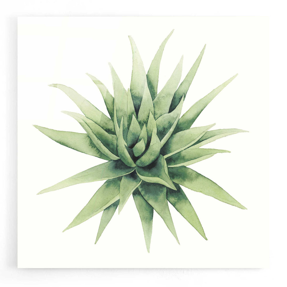 Epic Art 'Tropical Plant III' by Grace Popp, Acrylic Wall Glass