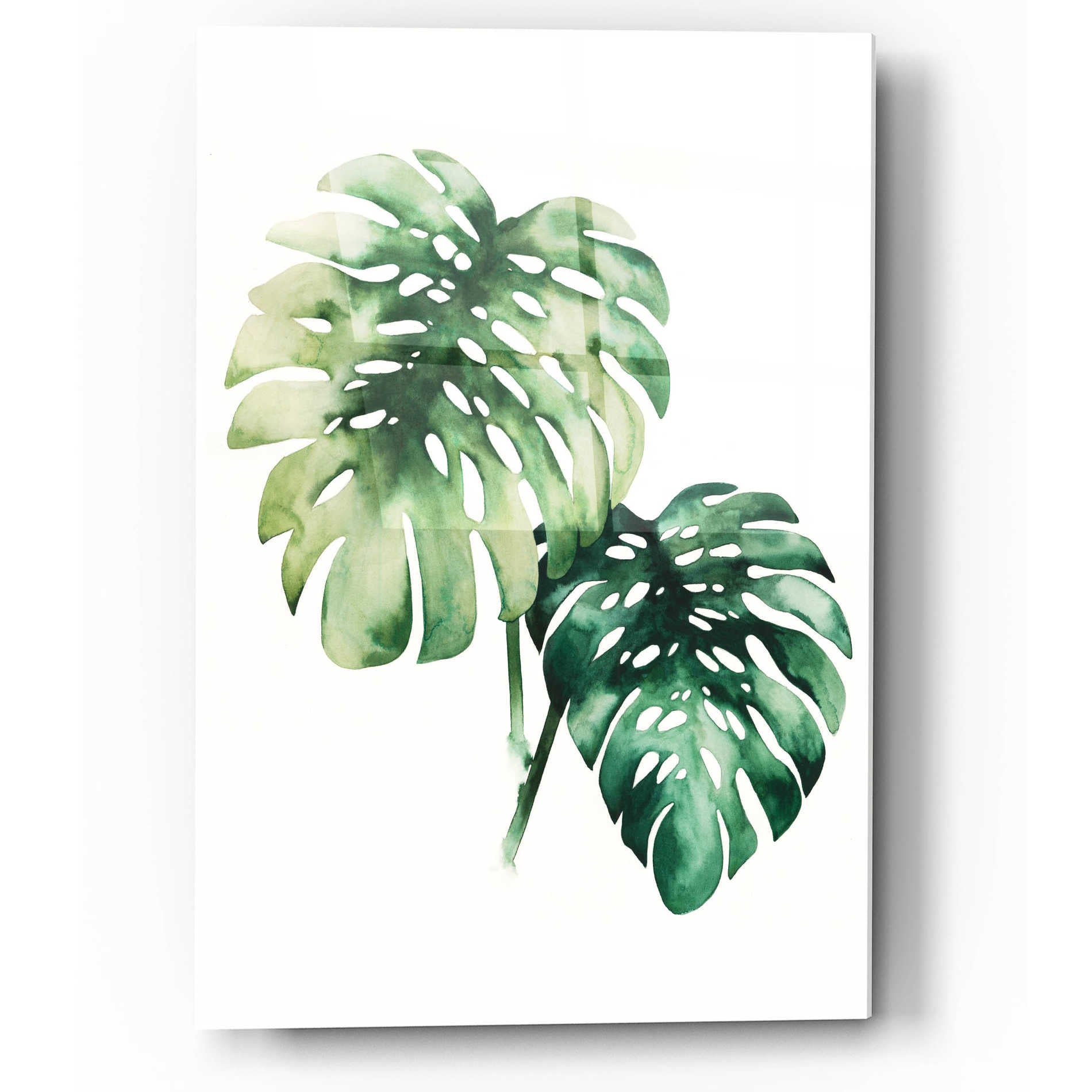 Epic Art 'Tropical Plant II' by Grace Popp, Acrylic Wall Glass,12x16