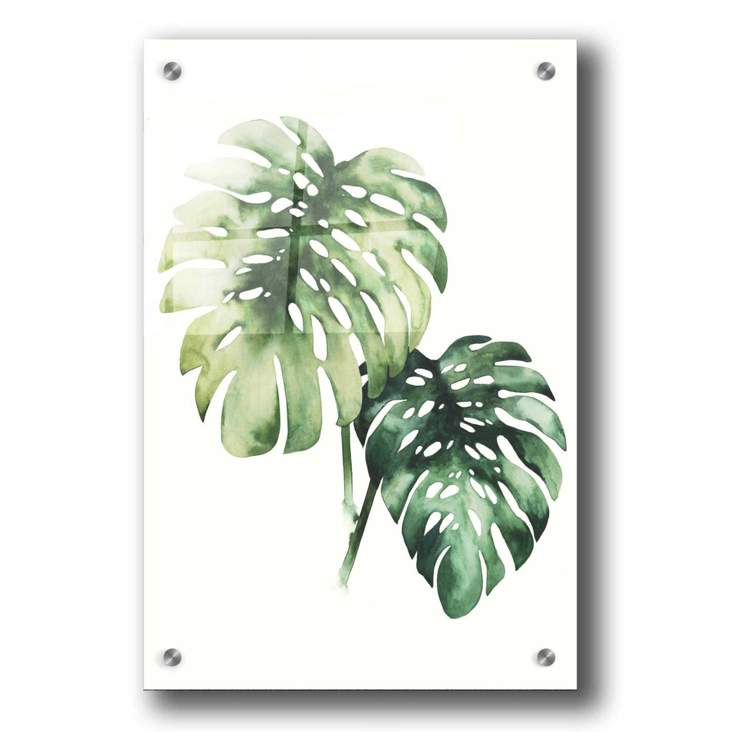 Epic Art 'Tropical Plant II' by Grace Popp, Acrylic Wall Glass,24x36