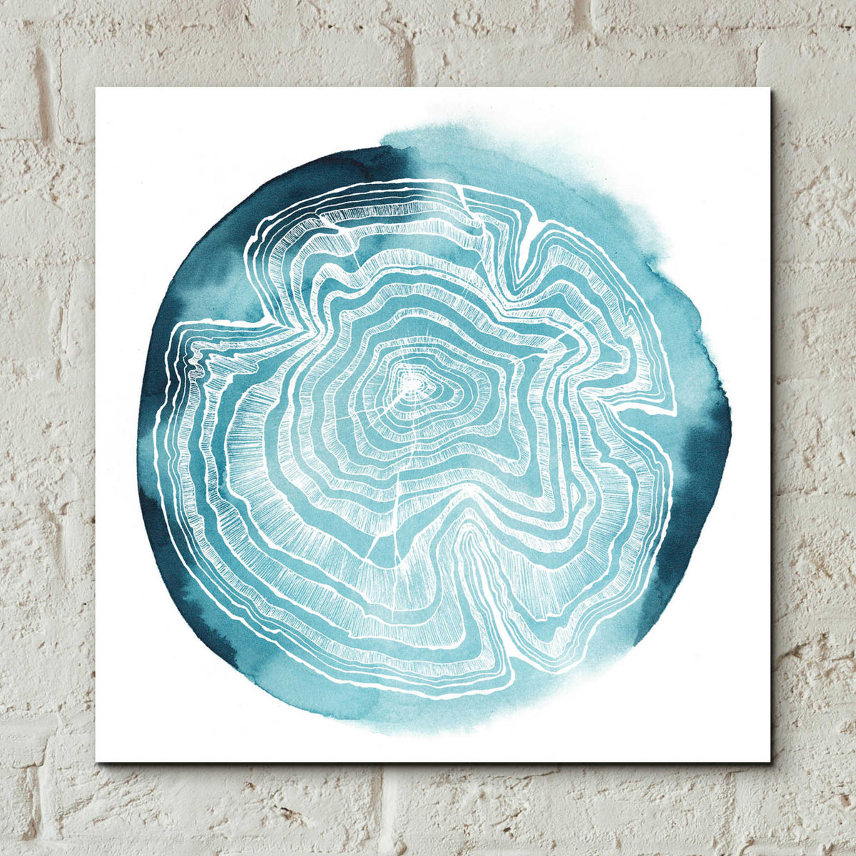 Epic Art 'Tree Ring Overlay IV' by Grace Popp, Acrylic Wall Glass,12x12