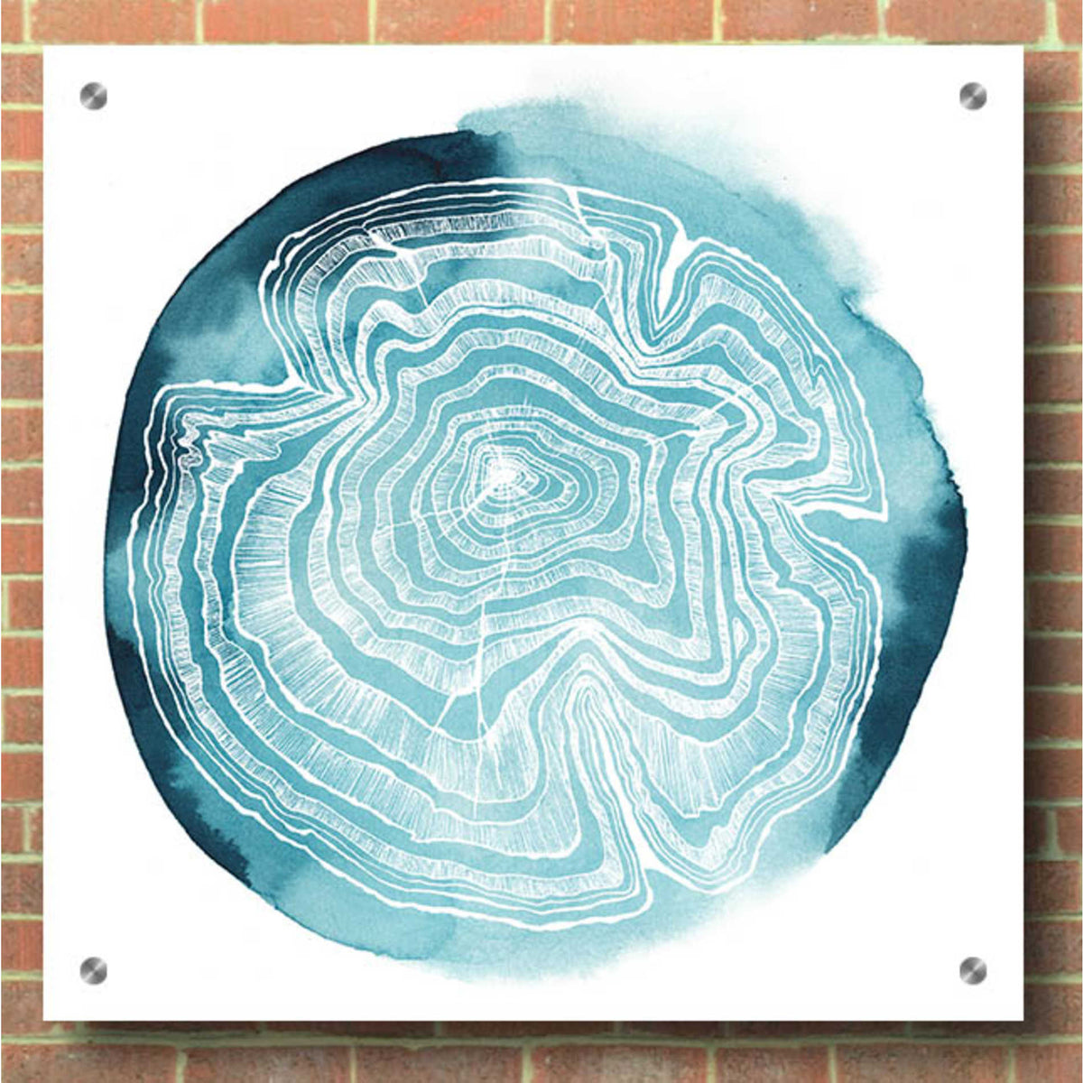 Epic Art 'Tree Ring Overlay IV' by Grace Popp, Acrylic Wall Glass,36x36