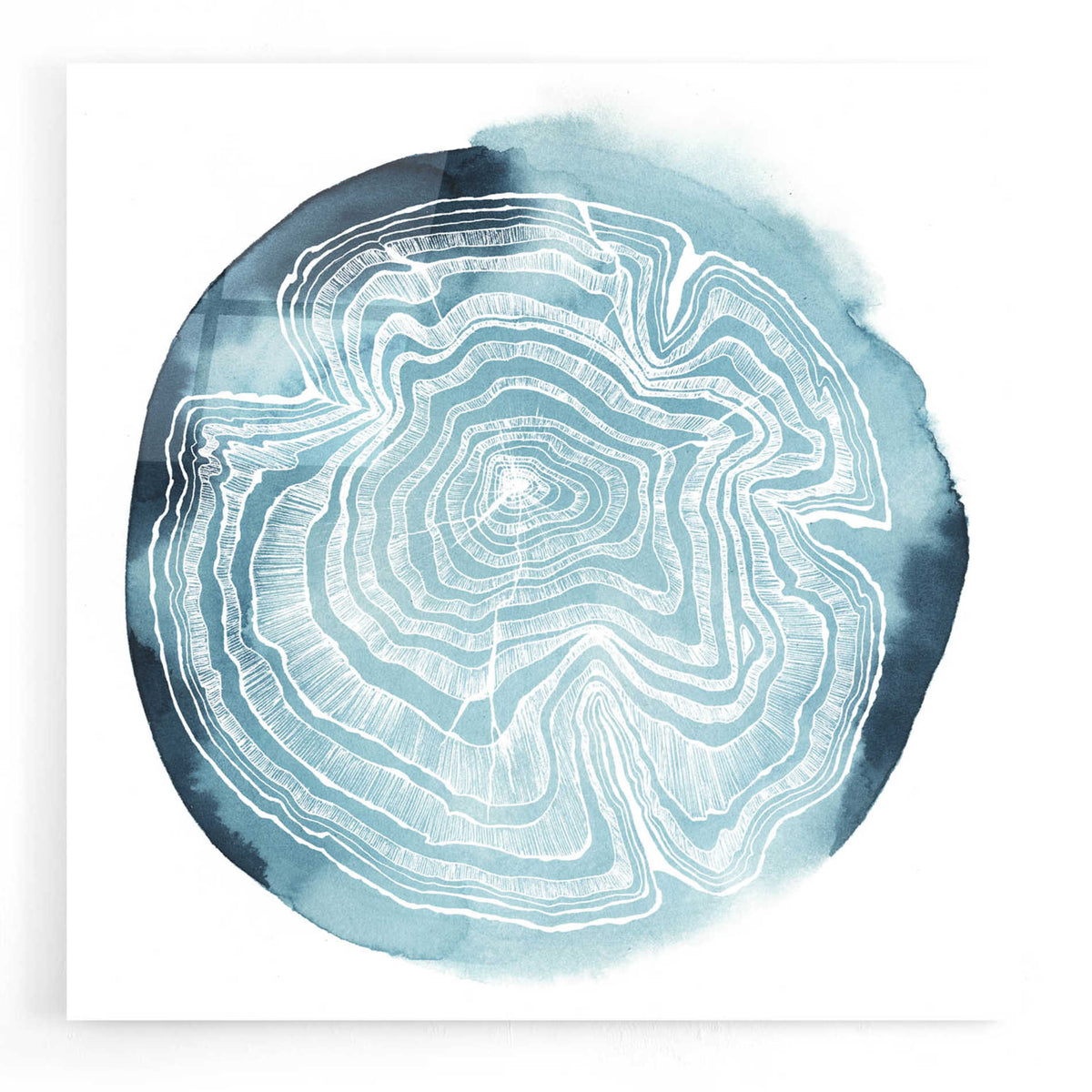 Epic Art 'Tree Ring Overlay IV' by Grace Popp, Acrylic Wall Glass