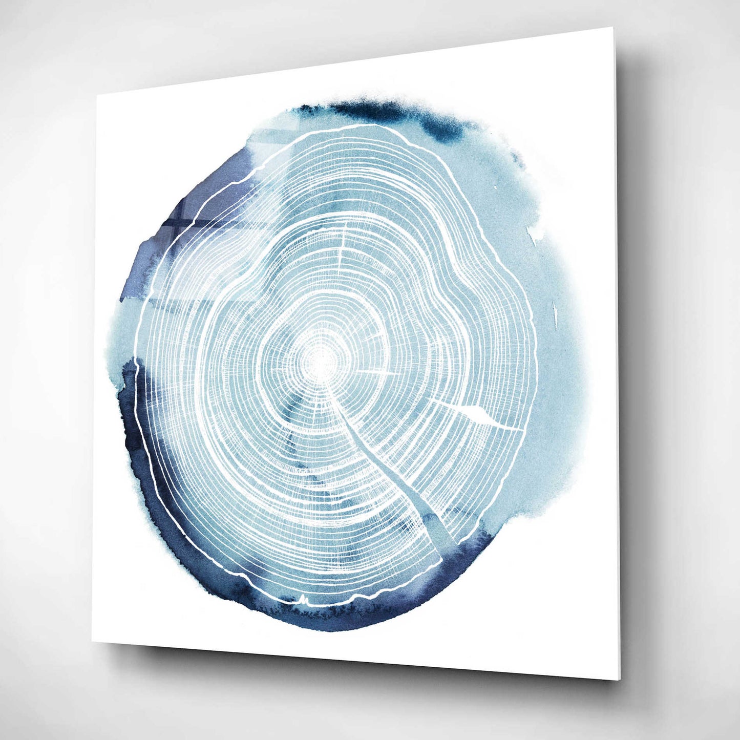 Epic Art 'Tree Ring Overlay III' by Grace Popp, Acrylic Wall Glass,12x12
