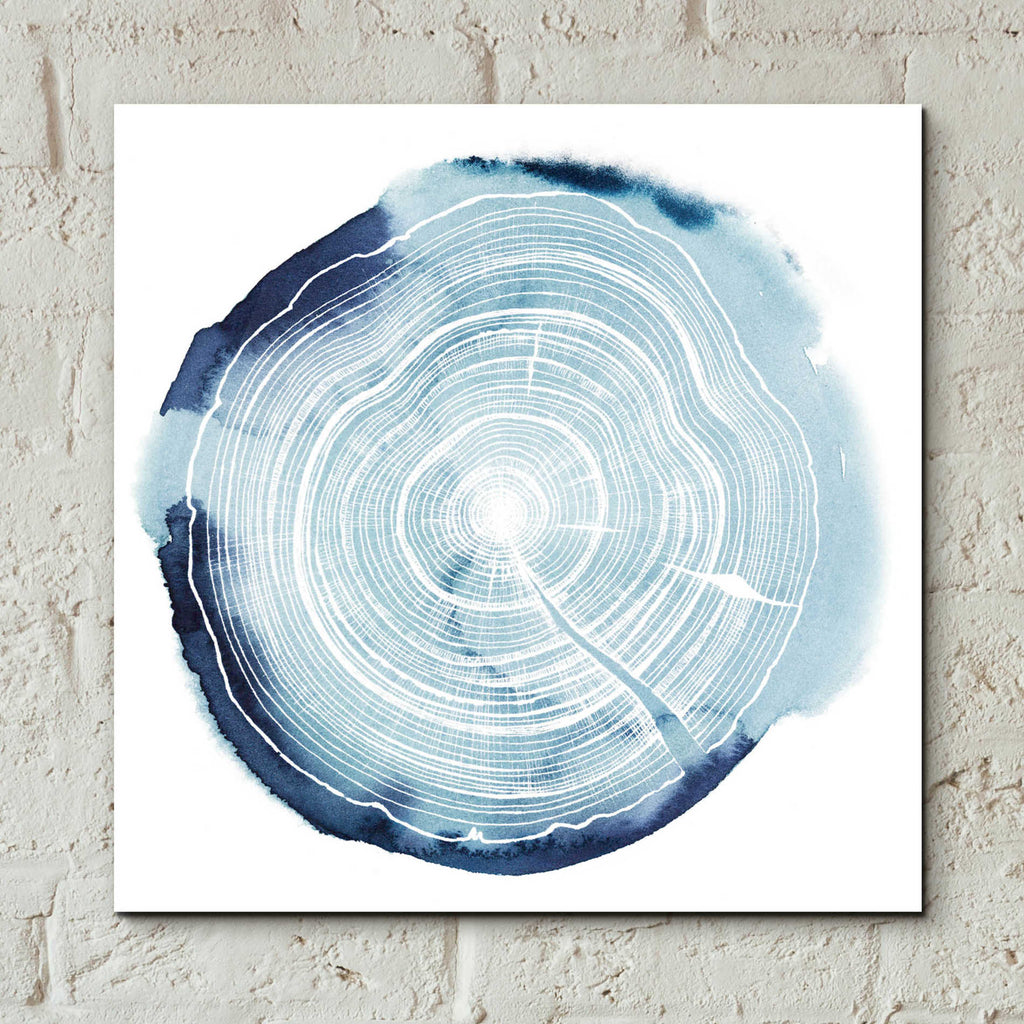 Epic Art 'Tree Ring Overlay III' by Grace Popp, Acrylic Wall Glass,12x12