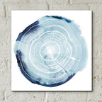 Epic Art 'Tree Ring Overlay III' by Grace Popp, Acrylic Wall Glass,12x12