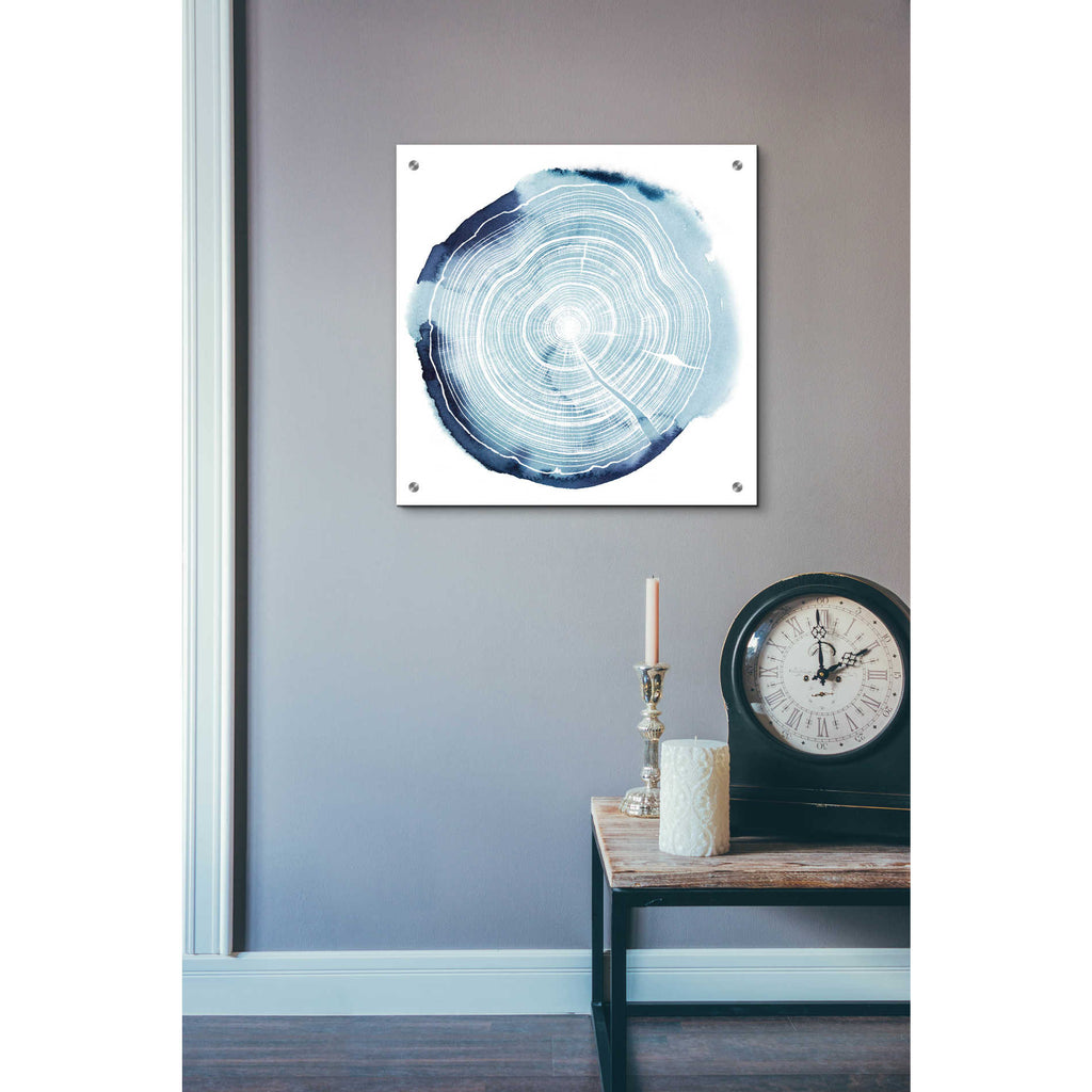 Epic Art 'Tree Ring Overlay III' by Grace Popp, Acrylic Wall Glass,24x24