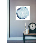Epic Art 'Tree Ring Overlay III' by Grace Popp, Acrylic Wall Glass,24x24