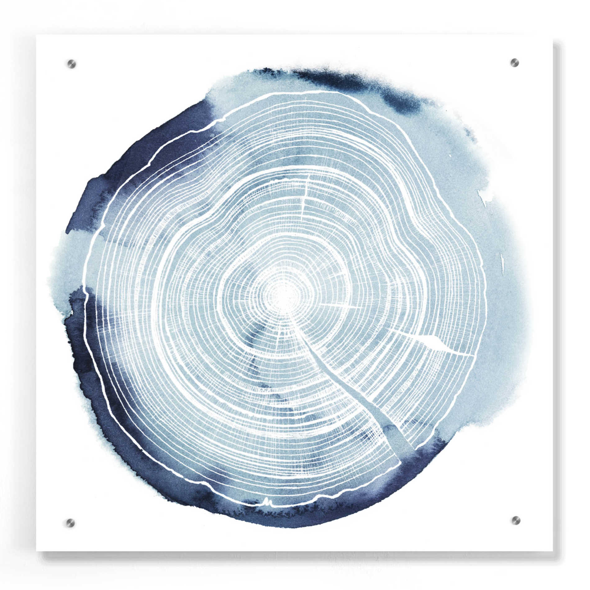 Epic Art 'Tree Ring Overlay III' by Grace Popp, Acrylic Wall Glass,24x24
