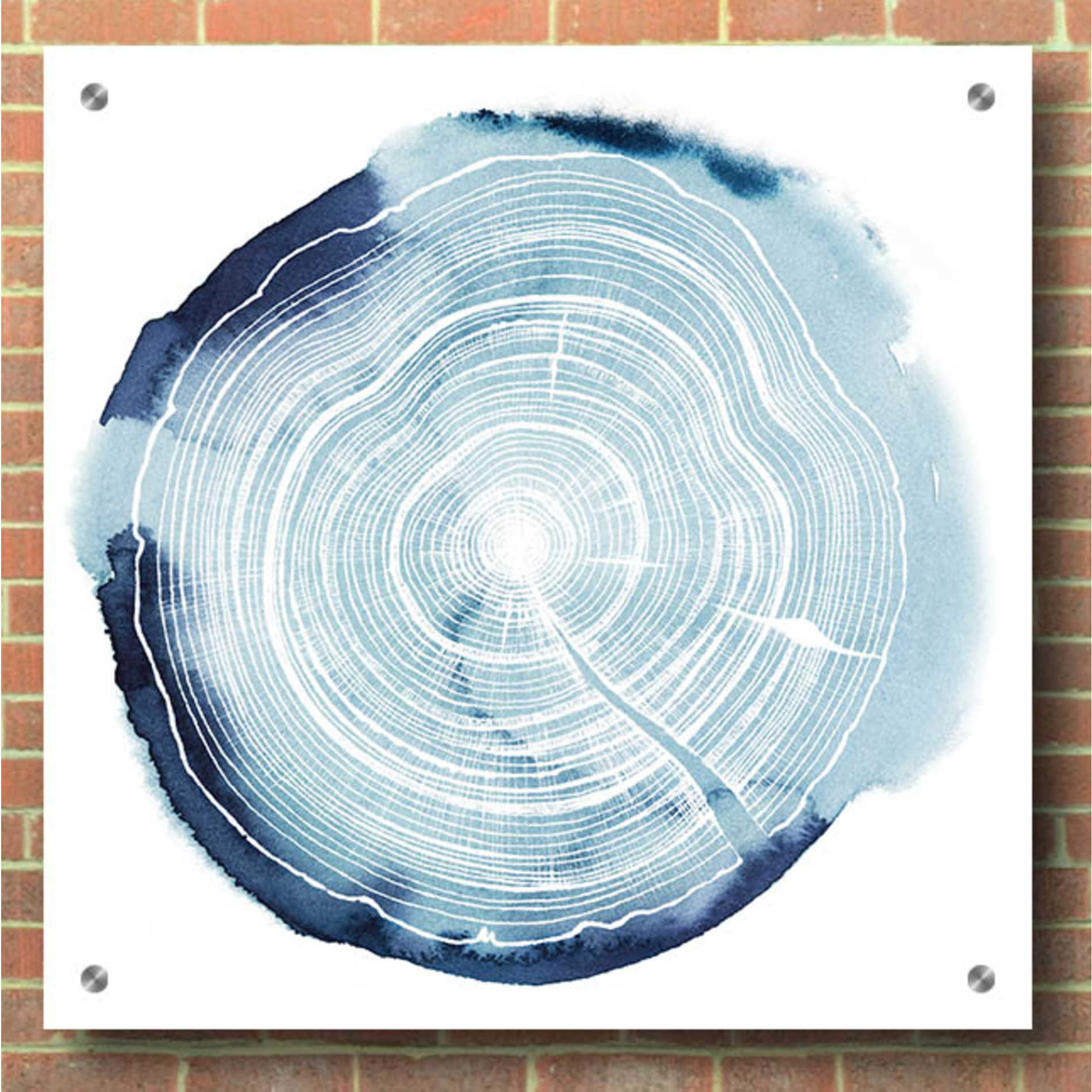 Epic Art 'Tree Ring Overlay III' by Grace Popp, Acrylic Wall Glass,36x36