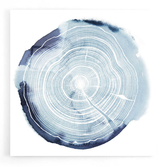 Epic Art 'Tree Ring Overlay III' by Grace Popp, Acrylic Wall Glass