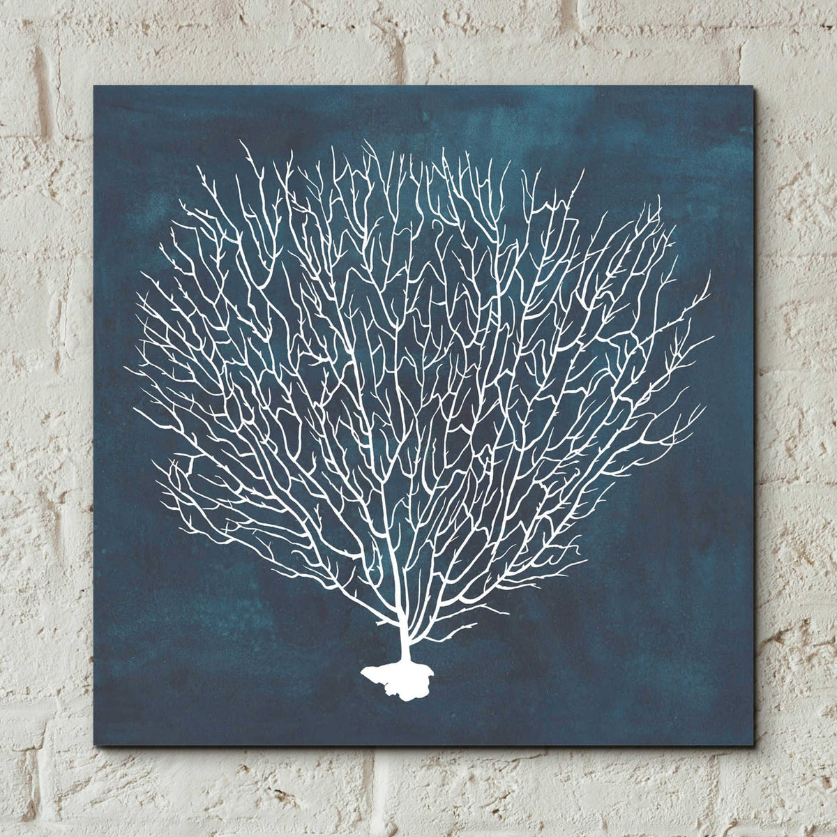 Epic Art 'Inverse Sea Fan IV' by Grace Popp, Acrylic Wall Glass,12x12