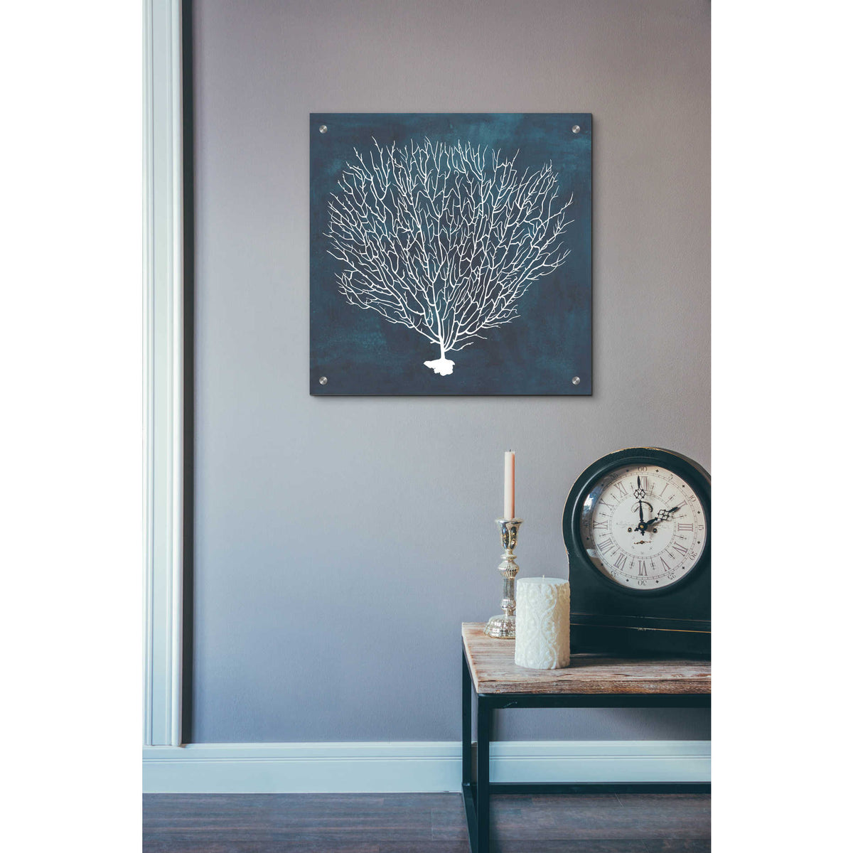 Epic Art 'Inverse Sea Fan IV' by Grace Popp, Acrylic Wall Glass,24x24