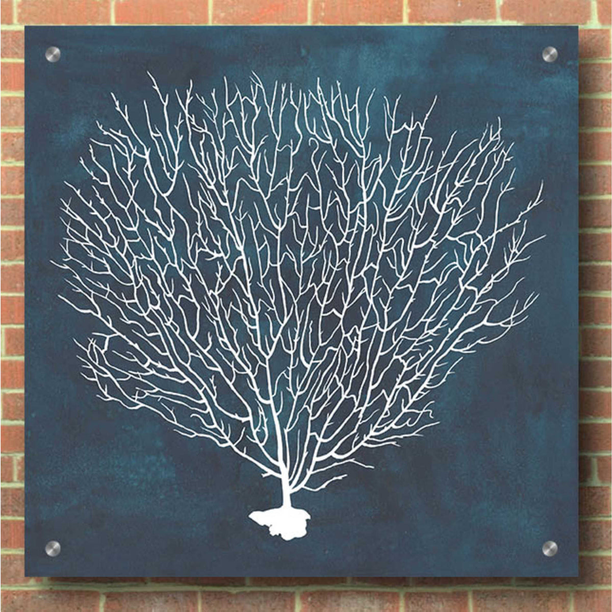 Epic Art 'Inverse Sea Fan IV' by Grace Popp, Acrylic Wall Glass,36x36