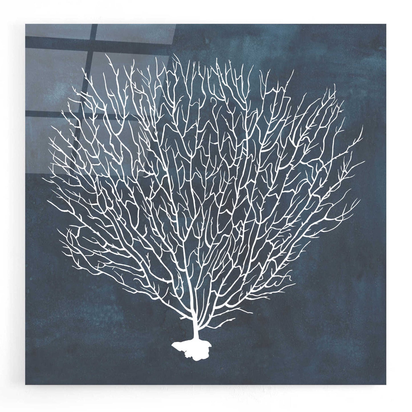 Epic Art 'Inverse Sea Fan IV' by Grace Popp, Acrylic Wall Glass