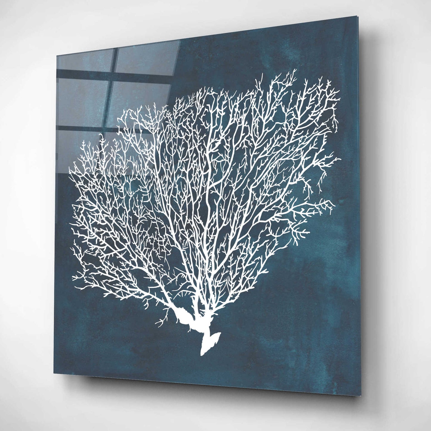 Epic Art 'Inverse Sea Fan II' by Grace Popp, Acrylic Wall Glass,12x12