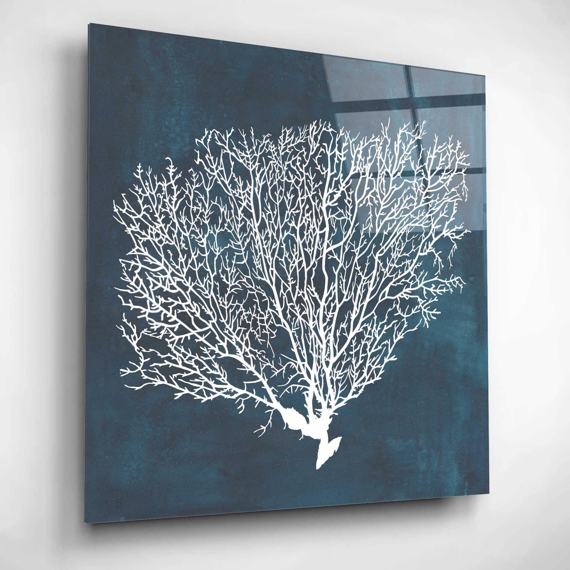 Epic Art 'Inverse Sea Fan II' by Grace Popp, Acrylic Wall Glass,12x12