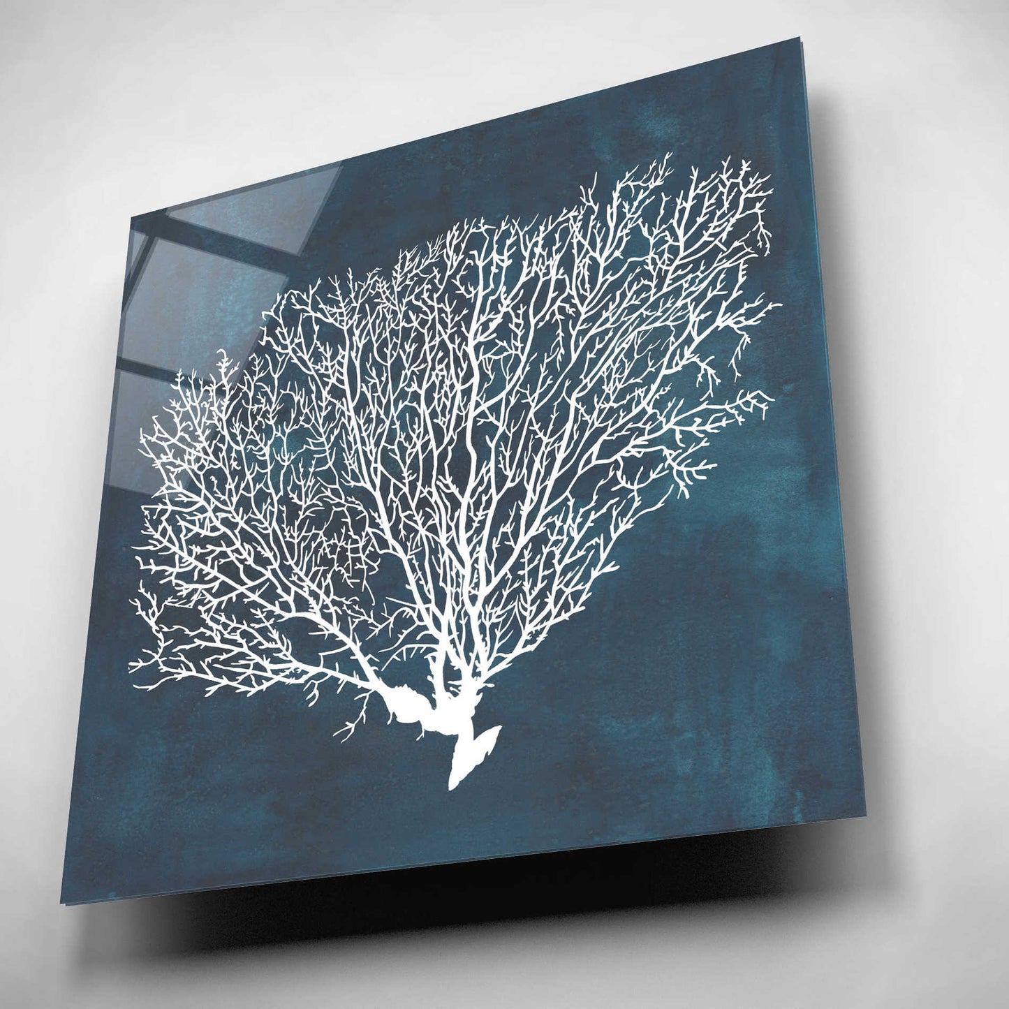 Epic Art 'Inverse Sea Fan II' by Grace Popp, Acrylic Wall Glass,12x12