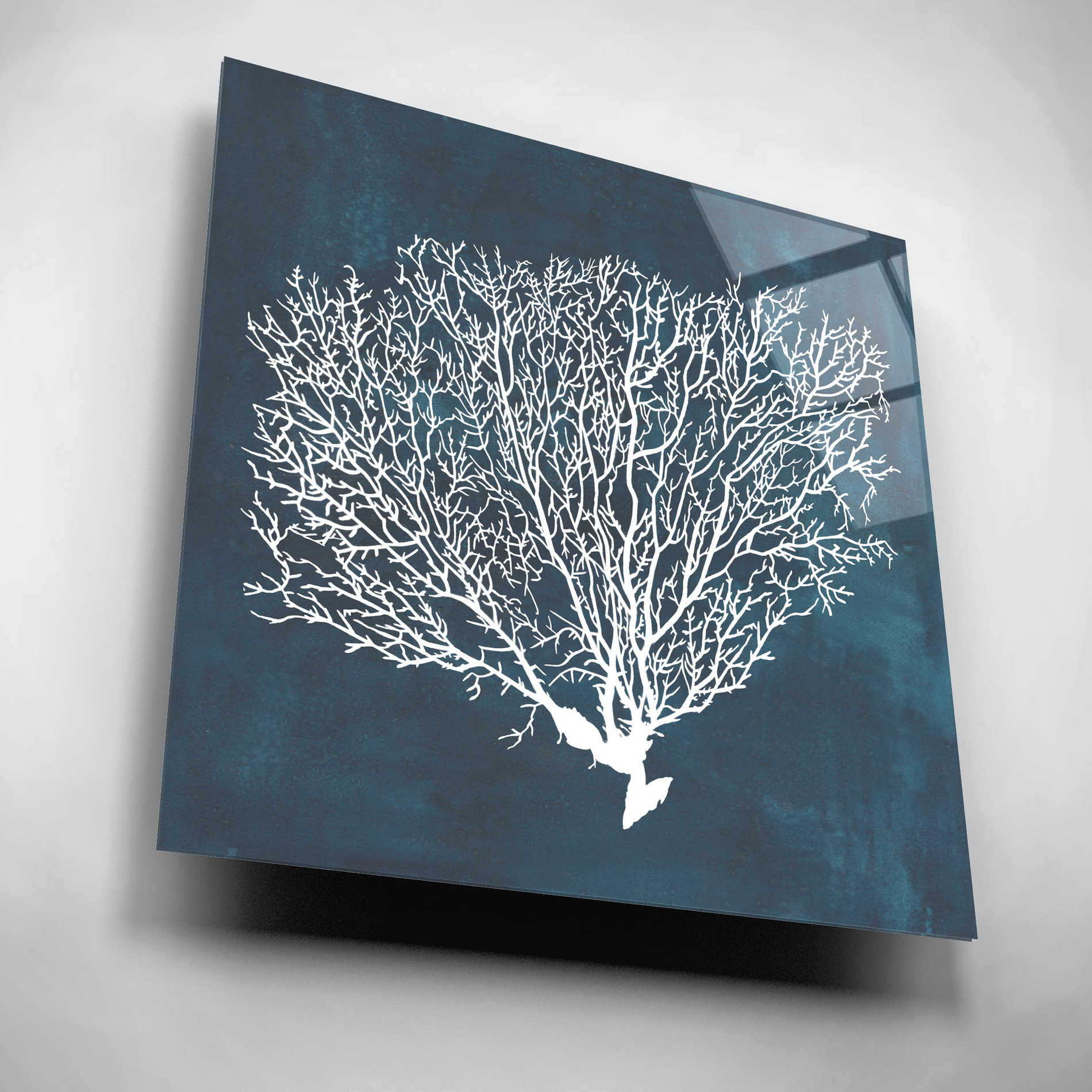 Epic Art 'Inverse Sea Fan II' by Grace Popp, Acrylic Wall Glass,12x12