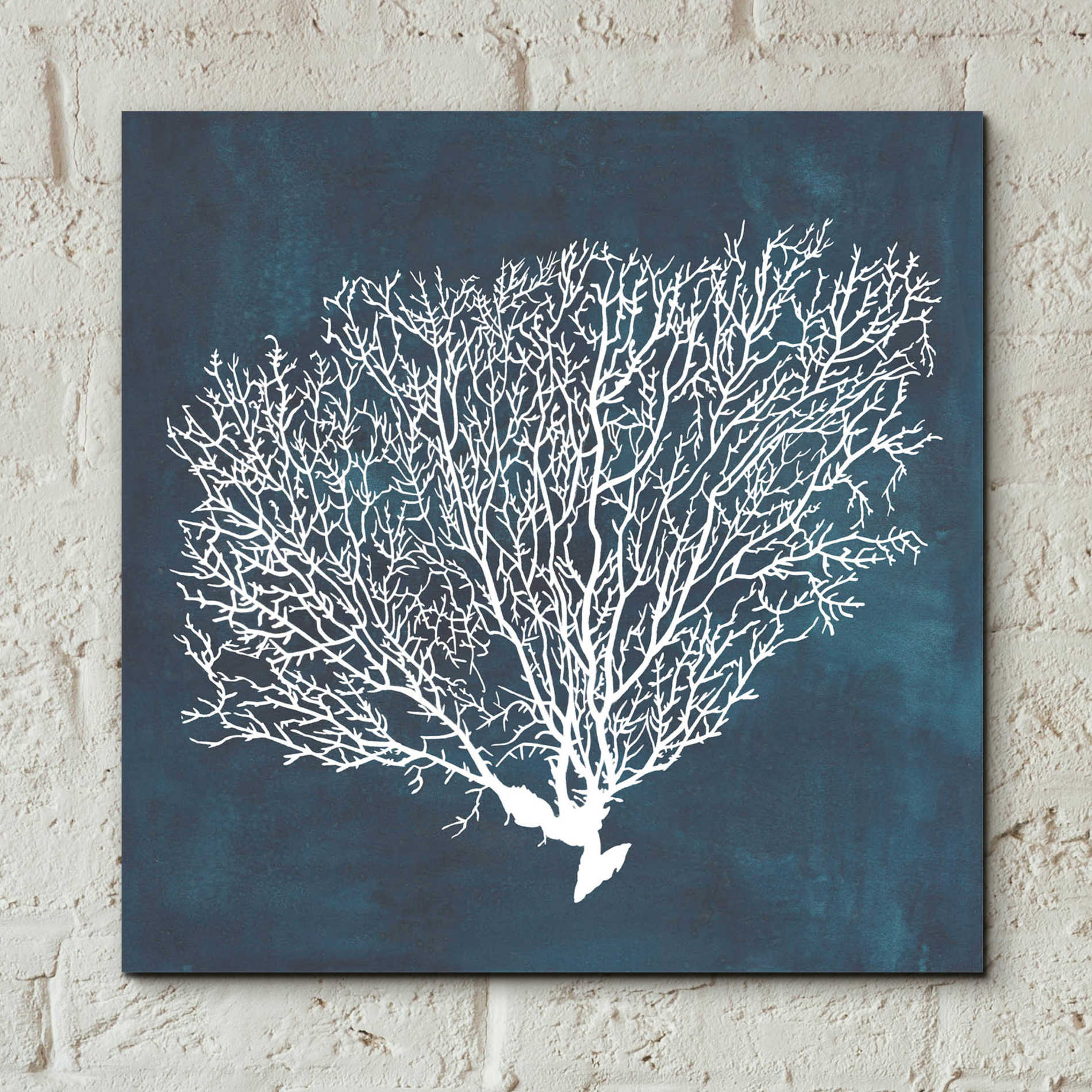 Epic Art 'Inverse Sea Fan II' by Grace Popp, Acrylic Wall Glass,12x12