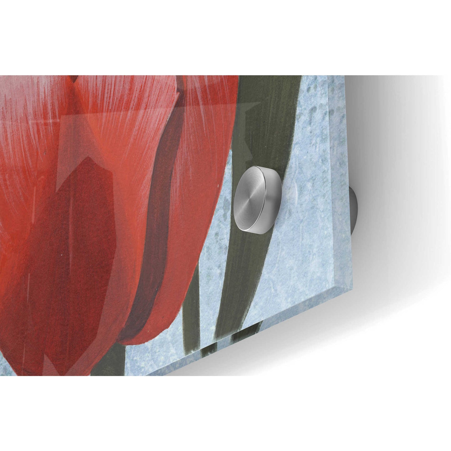 Epic Art 'Ruby Tulips II' by Grace Popp, Acrylic Wall Glass,36x24