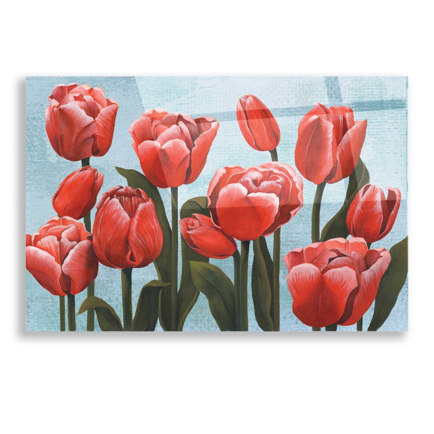 Epic Art 'Ruby Tulips II' by Grace Popp, Acrylic Wall Glass