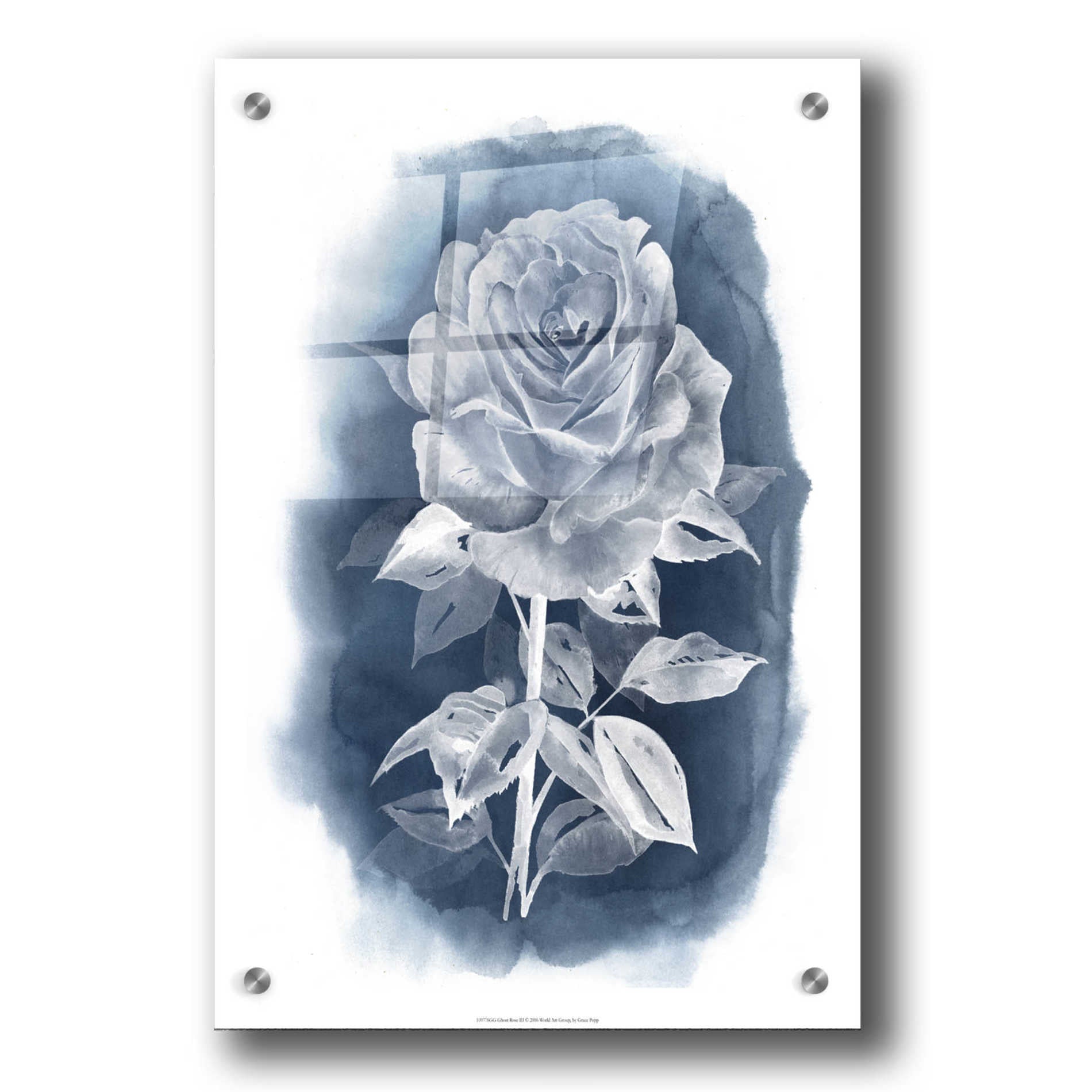 Epic Art 'Ghost Rose III' by Grace Popp, Acrylic Wall Glass,24x36