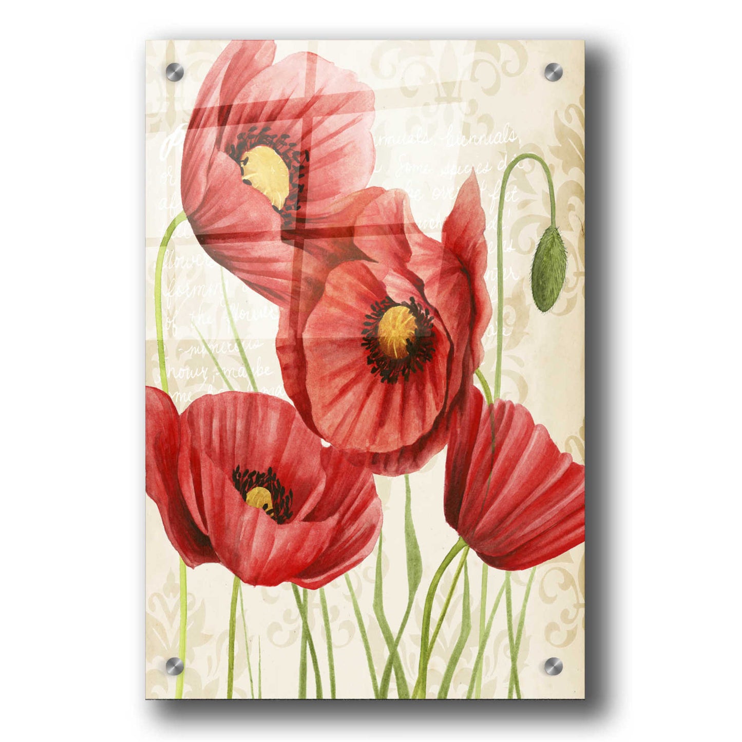 Epic Art 'Poised Poppy II' by Grace Popp, Acrylic Wall Glass,24x36