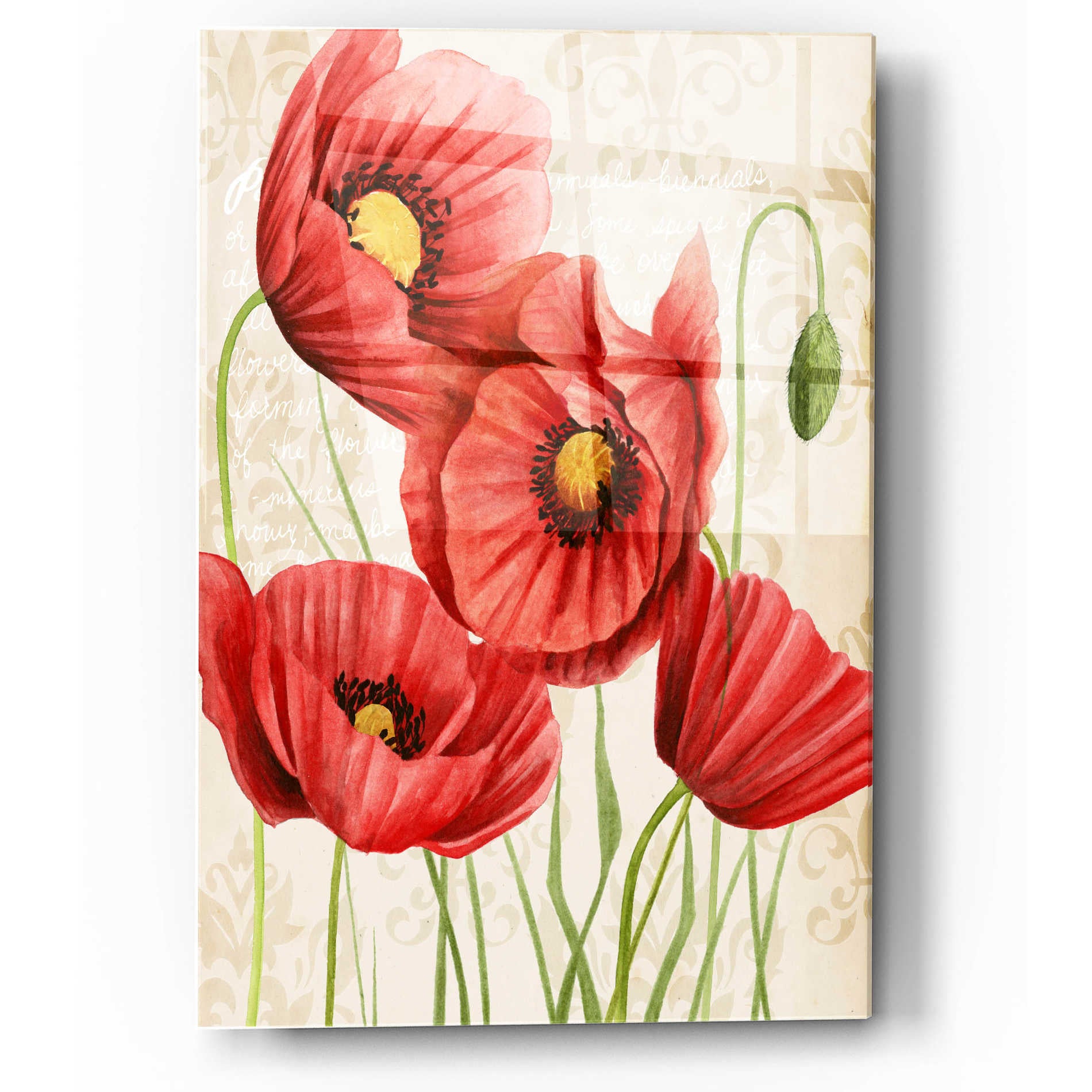 Epic Art 'Poised Poppy II' by Grace Popp, Acrylic Wall Glass