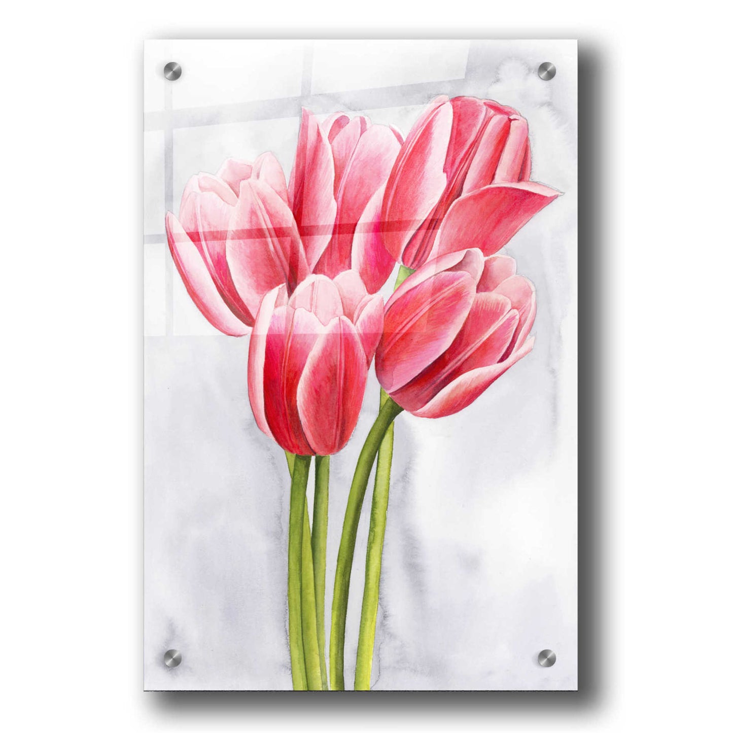 Epic Art 'Tulip Tangle II' by Grace Popp, Acrylic Wall Glass,24x36