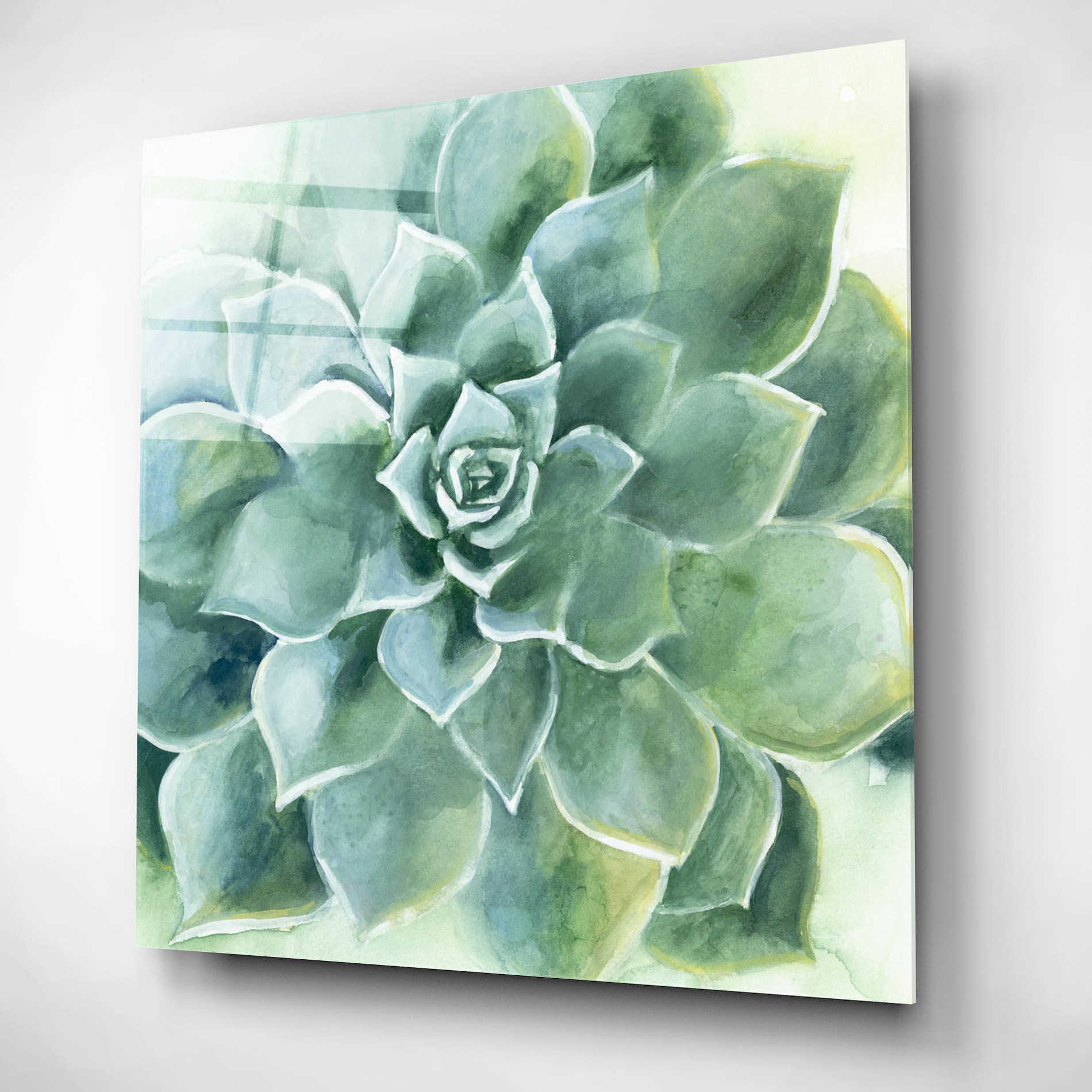 Epic Art 'Verdant Succulent II' by Grace Popp, Acrylic Wall Glass,12x12